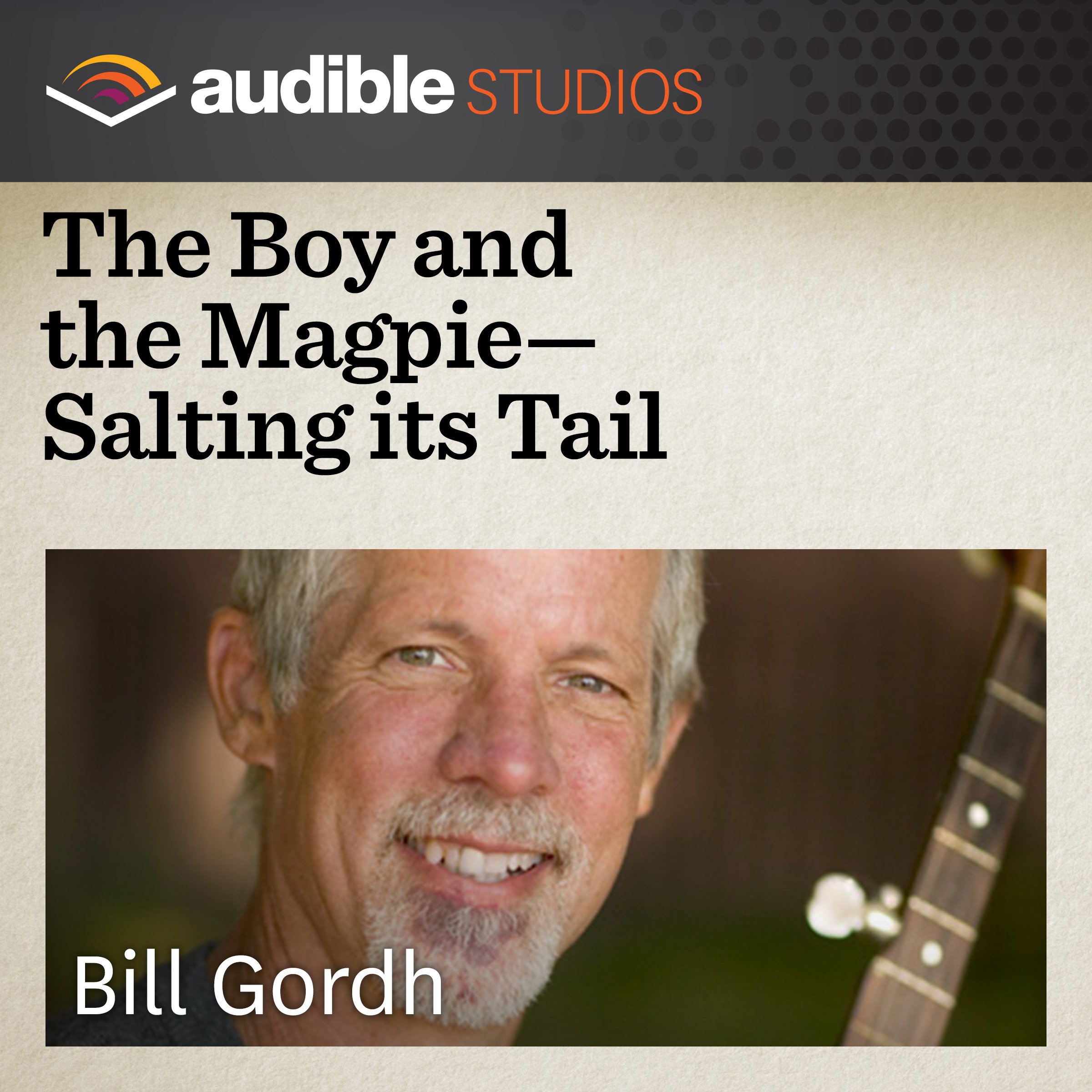 Cover art for The Boy and the Magpie - Salting Its Tail