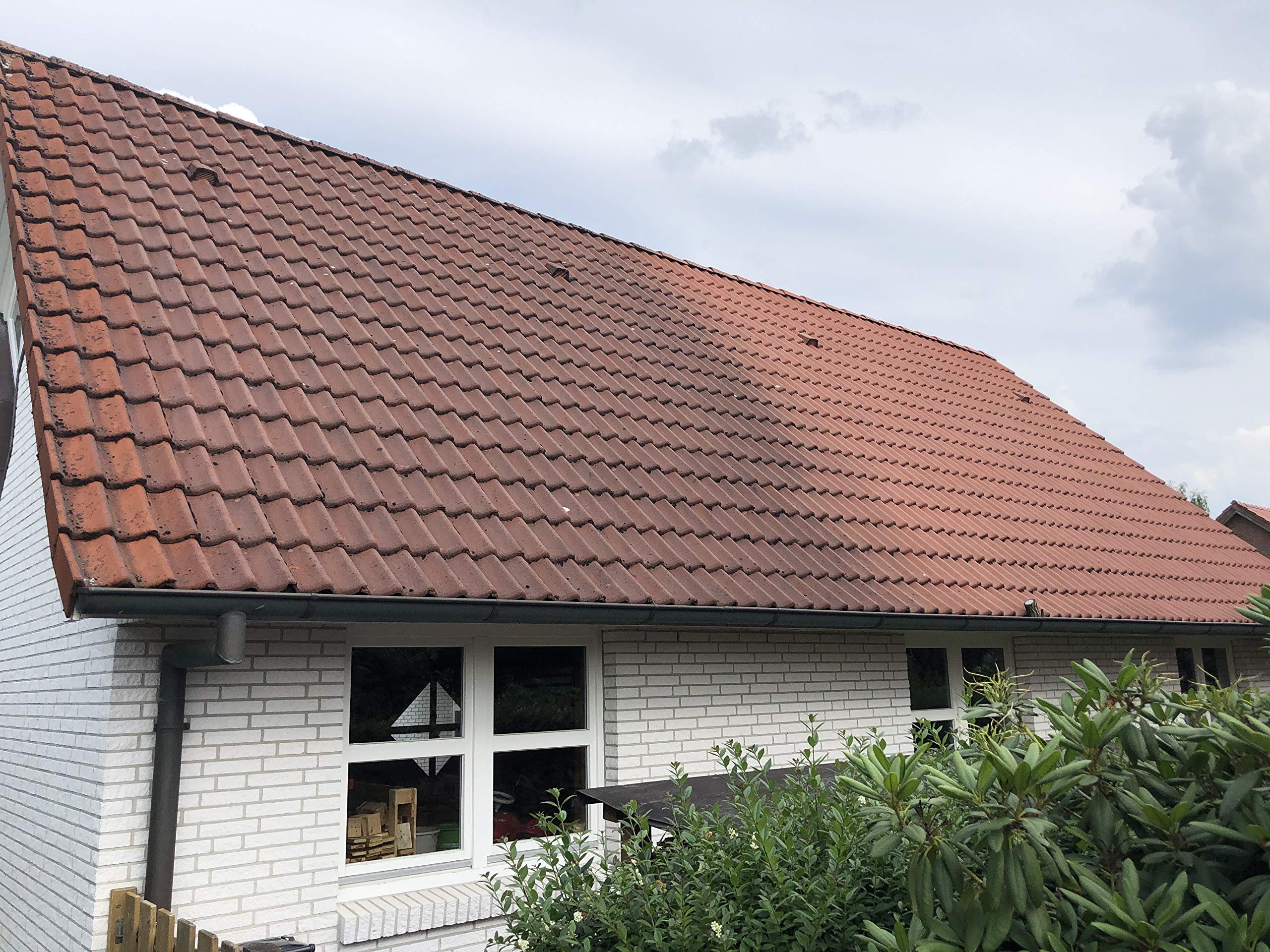 MOOS weg! 1,8 L Spezial-Reinigungsmittel für Stein, Holz und Kunststoff