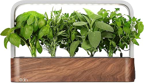 EDN SmallGarden with Basil SeedPods, Indoor Grow Smart Garden for