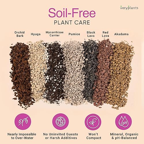 Miniatura 17 de Molly's - Mezcla de orquídeas para macetas, mezcla de orquídeas arenosas sin suelo de primera calidad, gran drenaje frente a tierra estándar