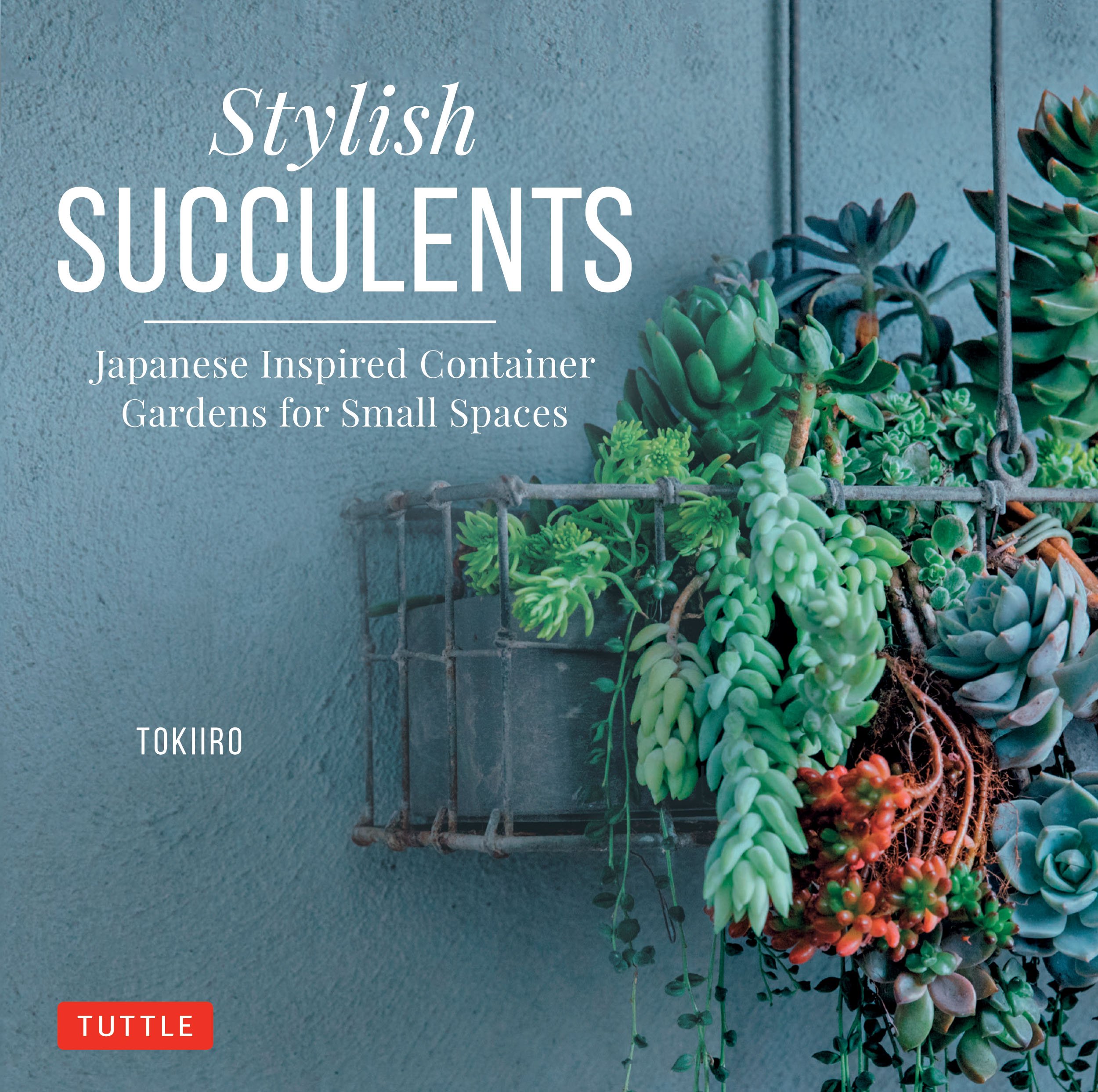 Stylish Succulents: Japanese Inspired Container Gardens for Small Spaces