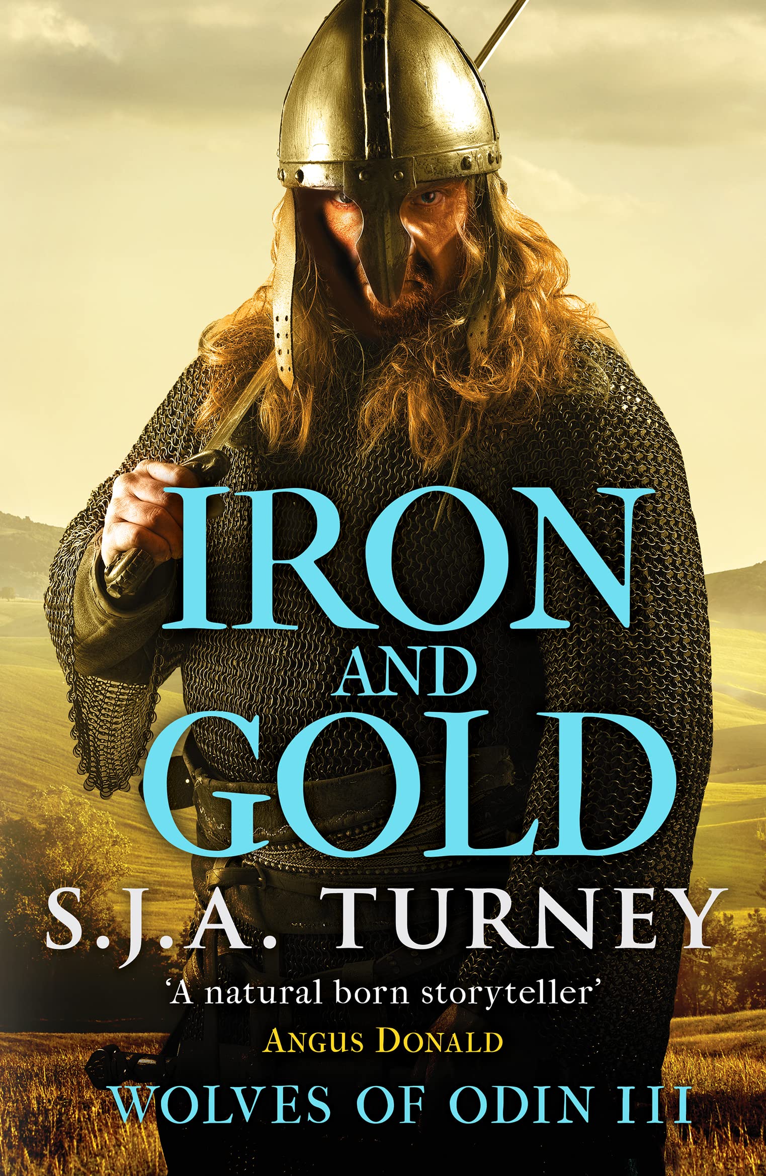 Iron and Gold: 3 (Wolves of Odin, 3)