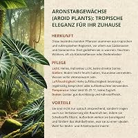 ORAGARDEN Aroid Mix Talaj 3L - Szobanövények és Kerti Növények Táptalaja 8