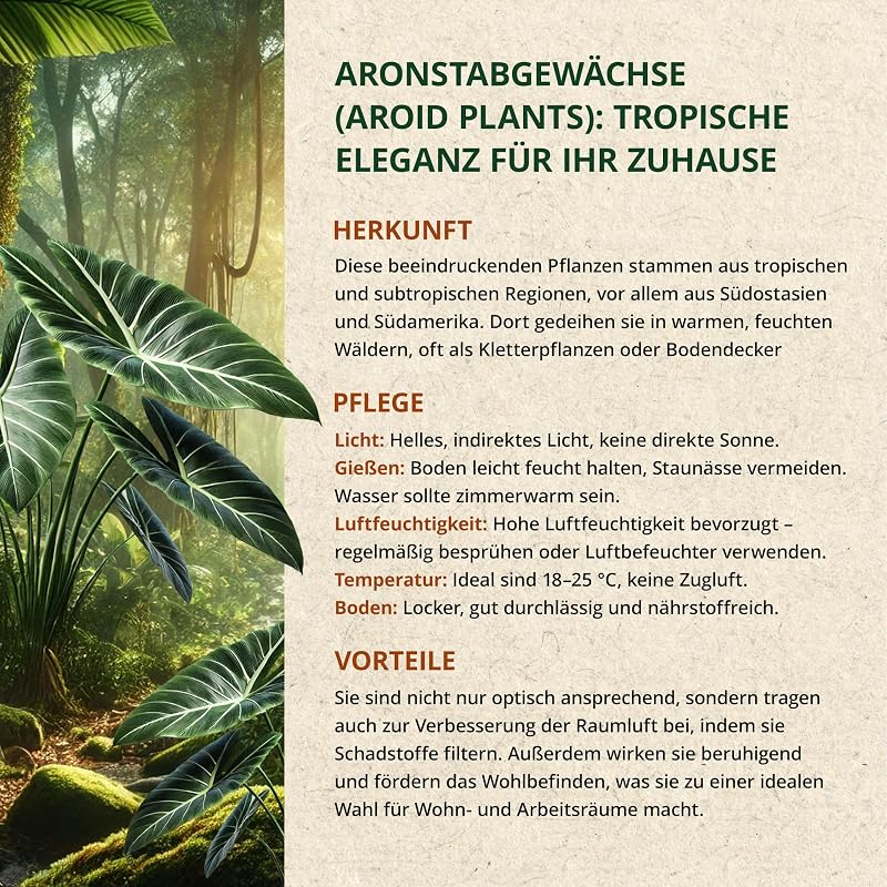 ORAGARDEN Aroid Mix Talaj 3L - Szobanövények és Kerti Növények Táptalaja