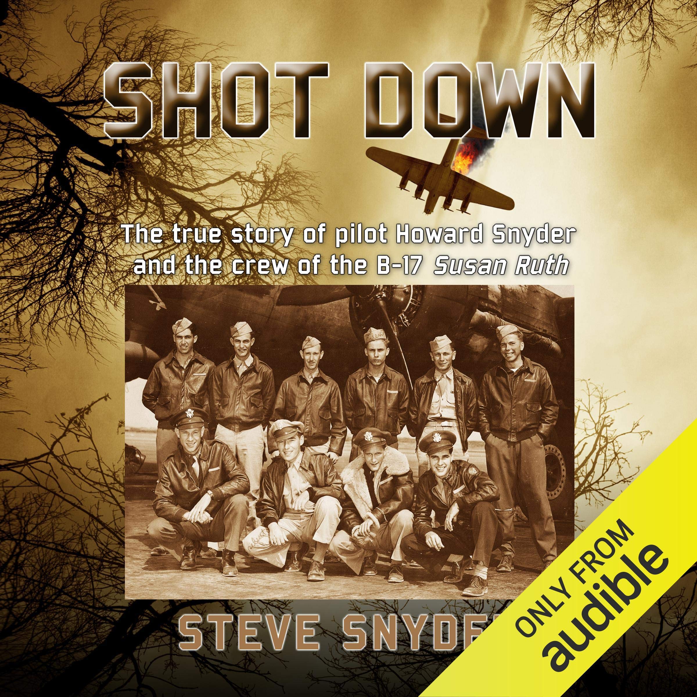 Cover art for Shot Down