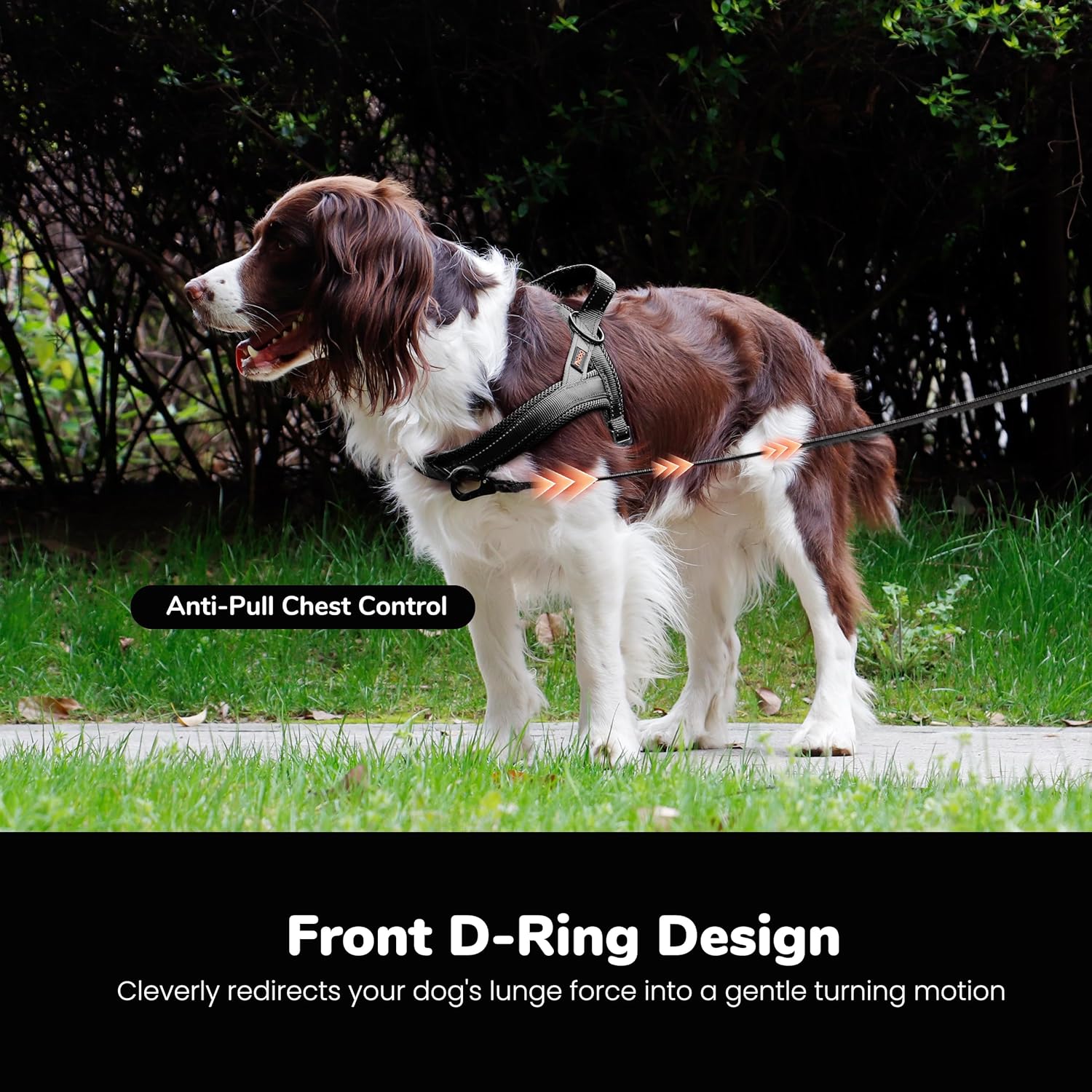 Didog No Pull Dog Harness with Breathable Mesh Padded,Reflective & Quick Fit Light Weight Dog Strap Vest Harness,Easy for Walking Training (L:Chest 26-32", Mesh-Black)