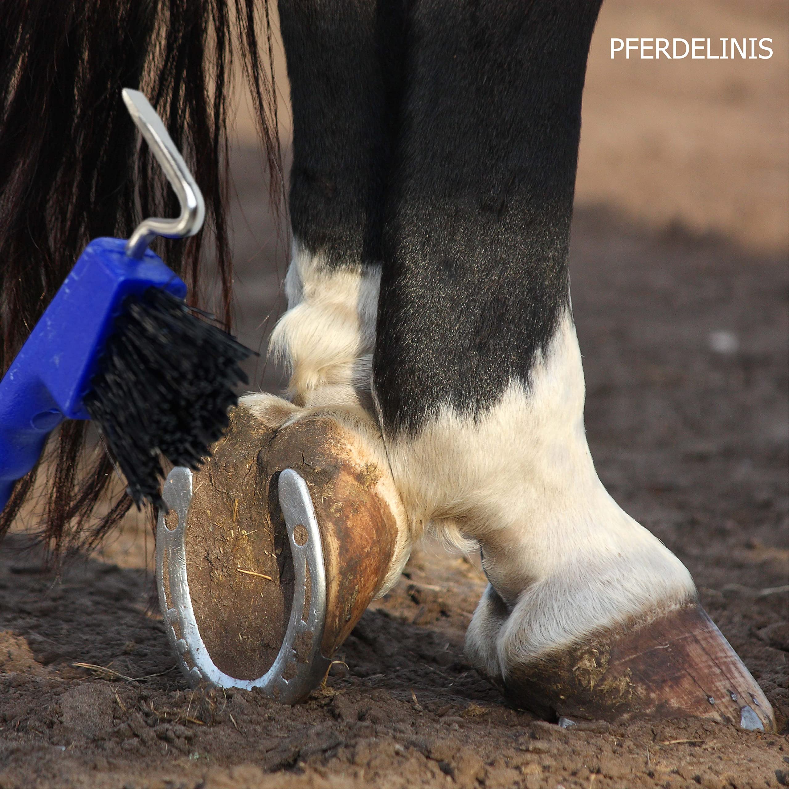 Raschietto Zoccoli Cavalli Con Spazzola | Impugnatura Ergonomica Antiscivolo - Foto 6