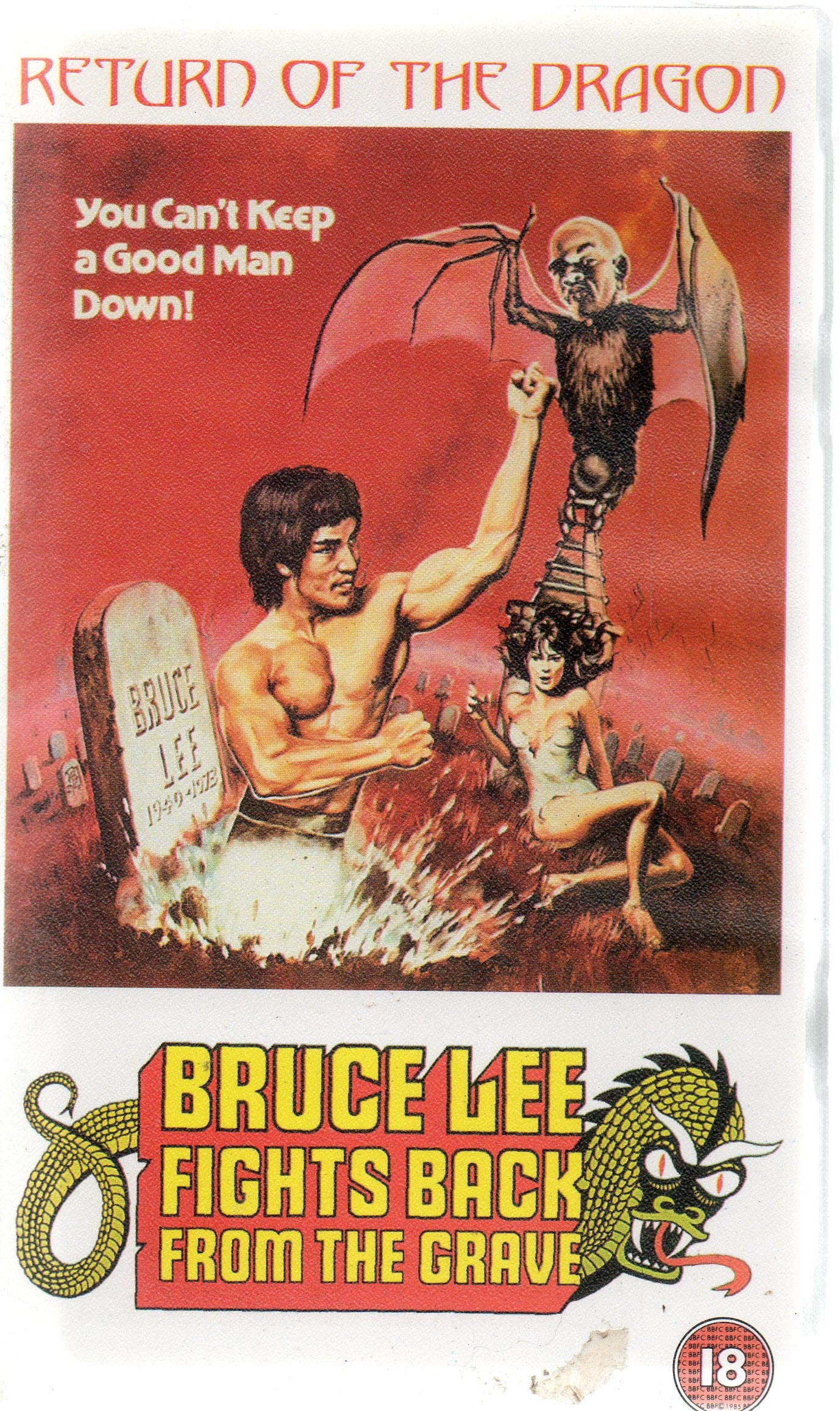 Bruce Lee Fights Back From The Grave [VHS]