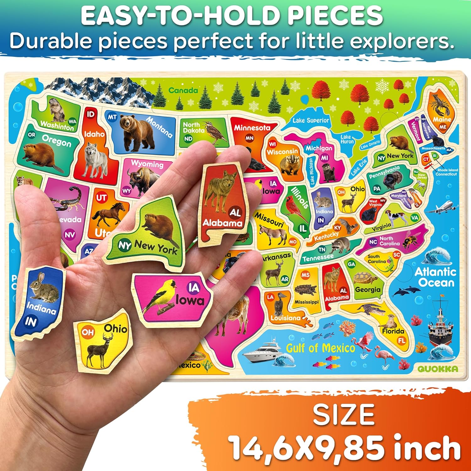 QUOKKA Puzzles for Kids Ages 4-6 - Realistic USA Map Wooden Puzzles for Toddlers 3-5 - Montessori Wood Educational Toys for 2-4 Years Old - United States Geography Learning Games for Kids 6-8