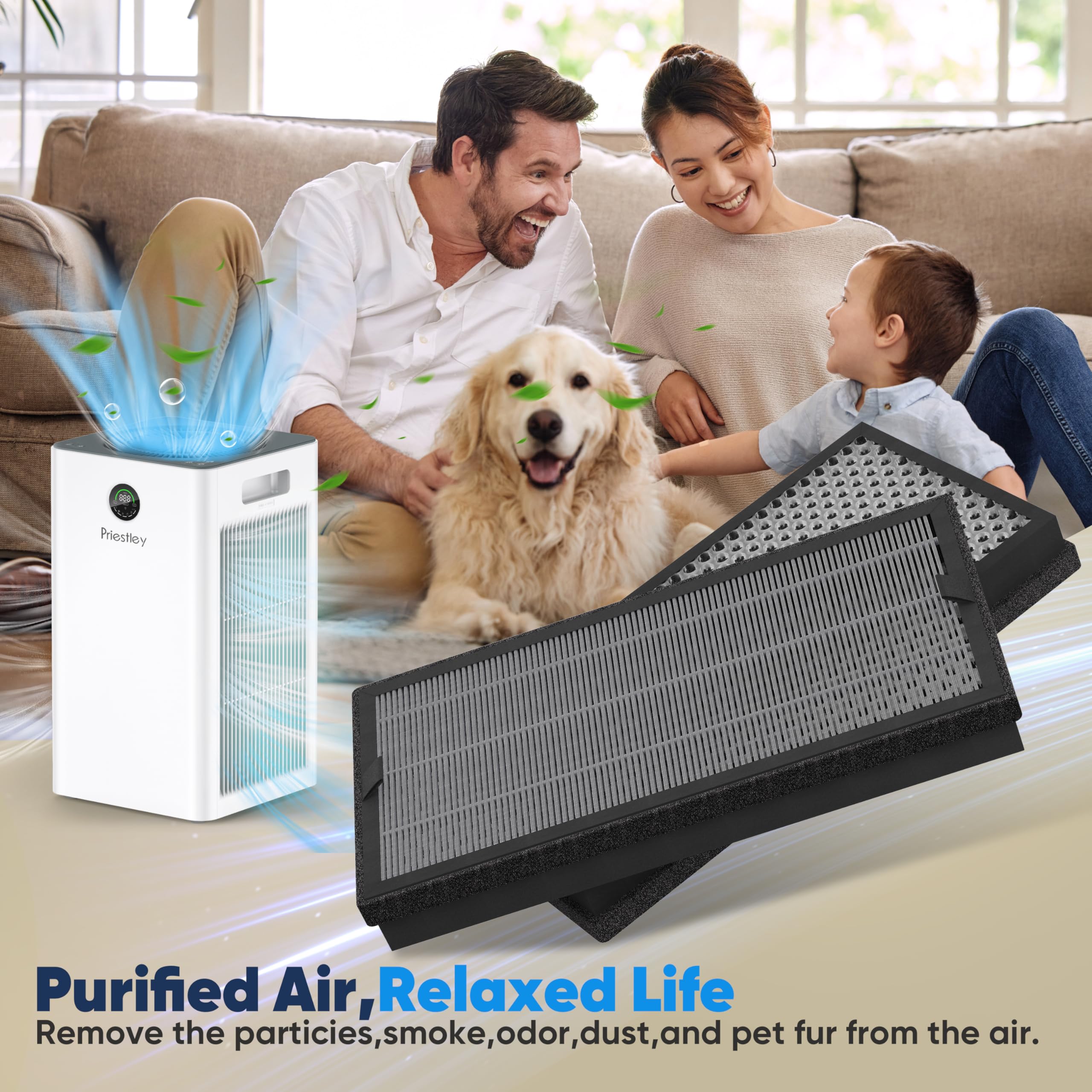 Air Purifier Replacement True HEPA Filter (P360)