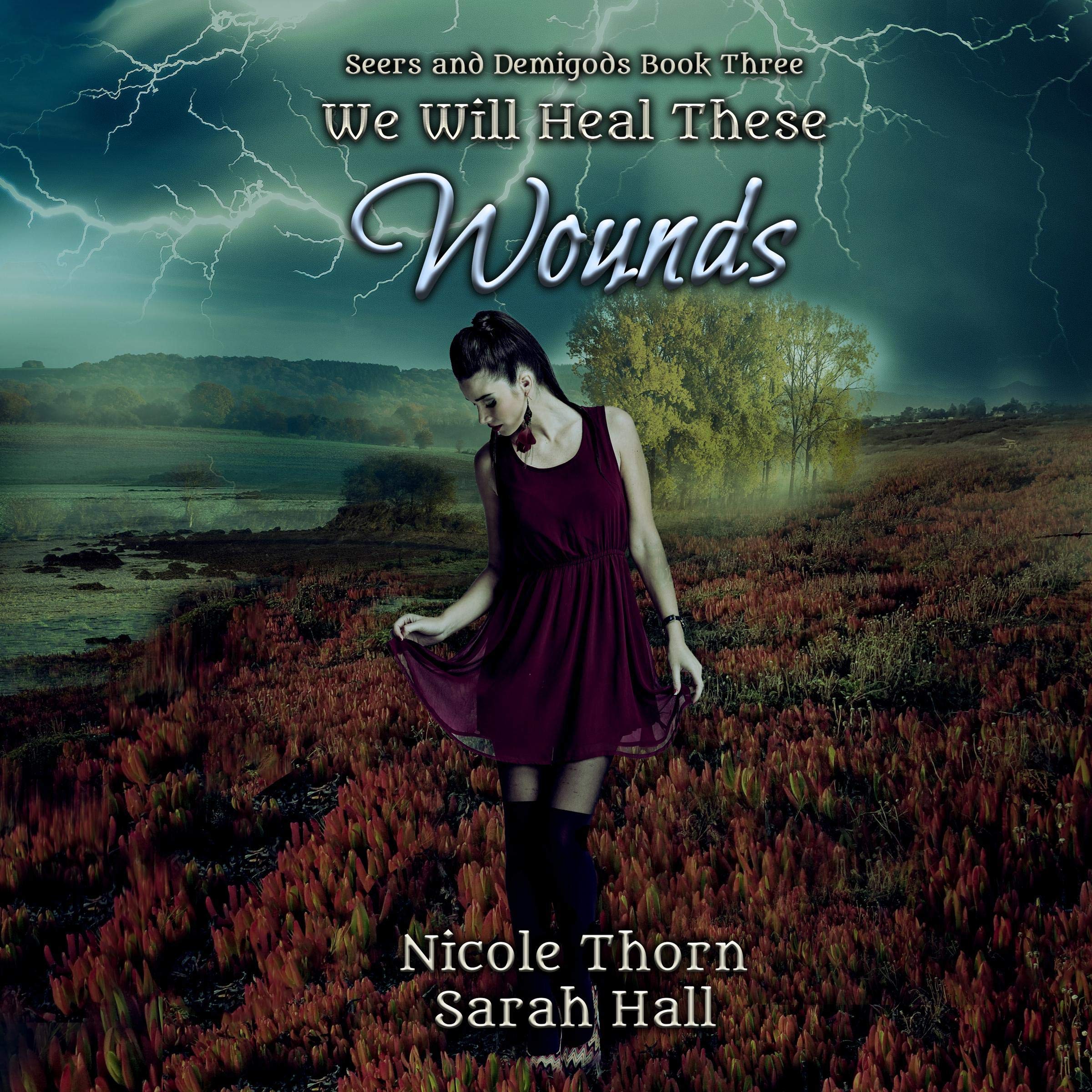 We Will Heal These Wounds