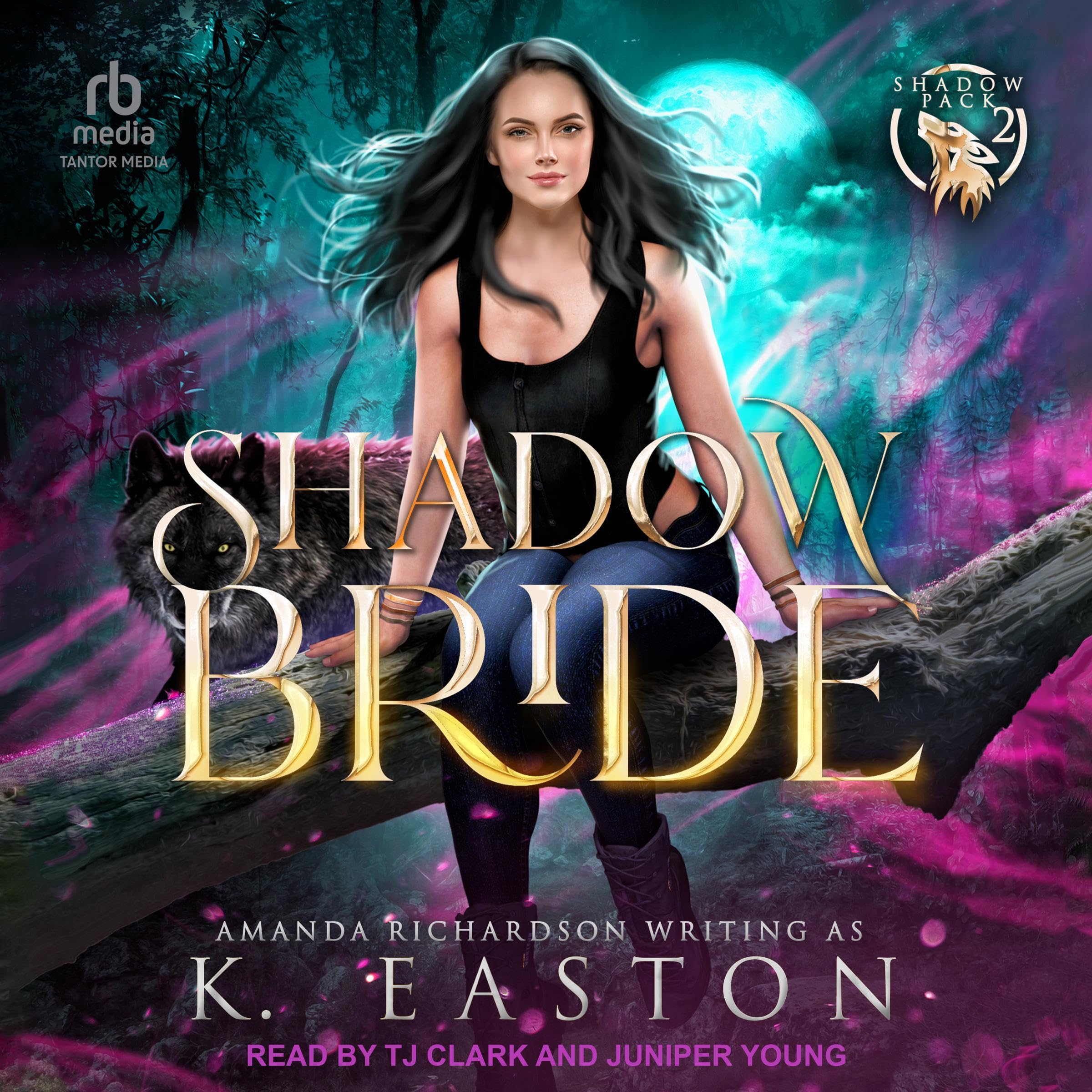 Cover art for Shadow Bride