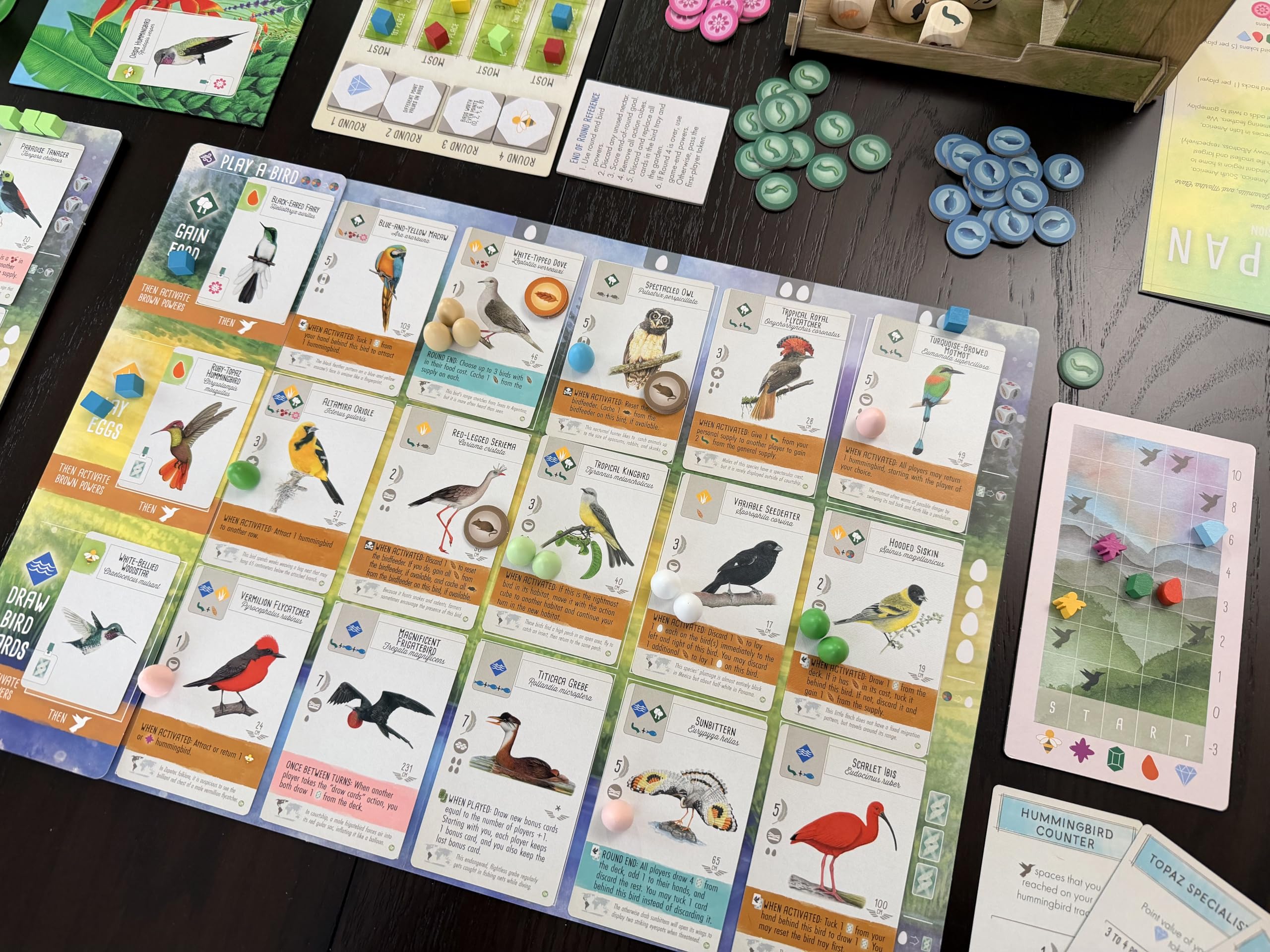 Stonemaier Games Wingspan - Espansione americana, gioco da tavolo, per 1-5 giocatori, a partire dai 14 anni