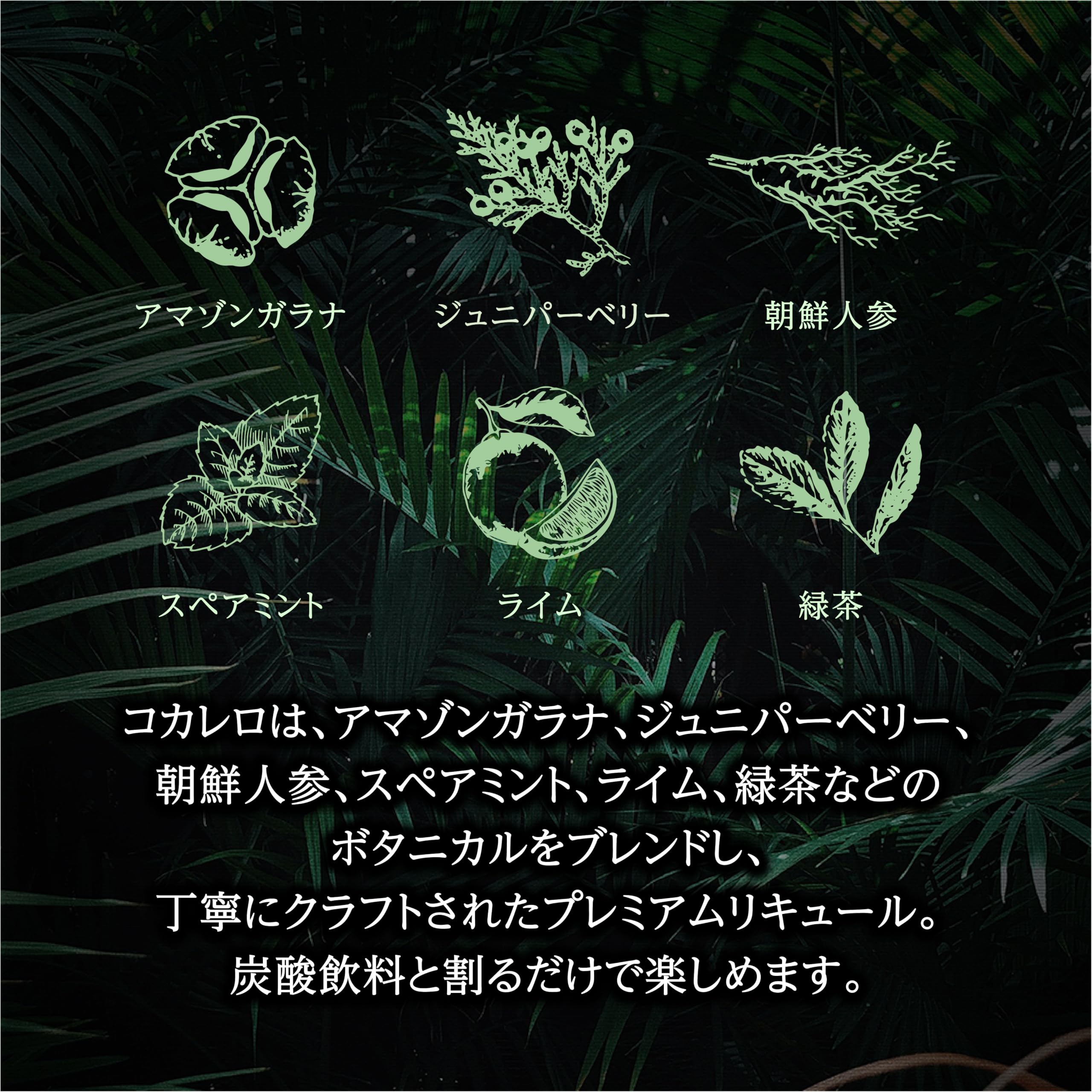 Amazon.co.jp: 国分 COCALERO コカレロ ガラス製(コカレロボムグラス