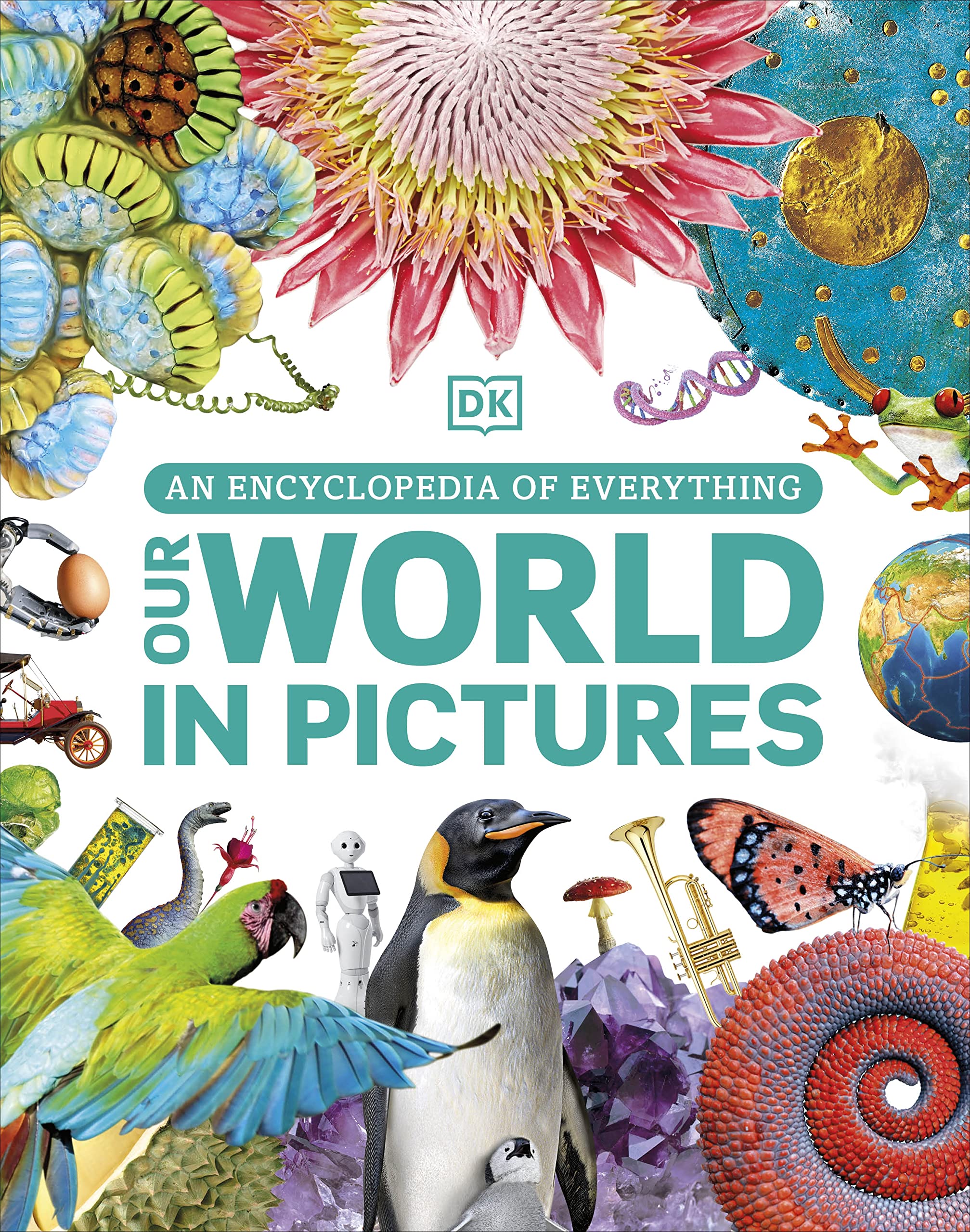 Our World in Pictures by DK (Hardback Book)