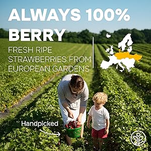 Jungle Powders Strawberry Powder 3.5 Ounce Bag Freeze Dried Strawberry Powder Dehydrated Strawberries Flavoring Additive Free Extract For Baking Dry Berry Fruit Powder Smoothies