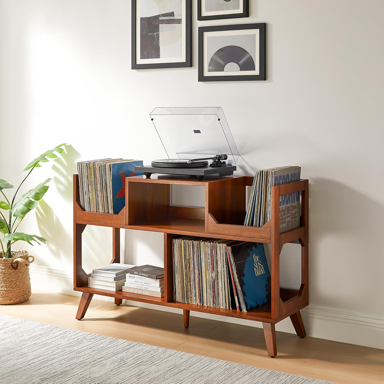 Asheville Walnut Mid-Century Modern Record Storage Console