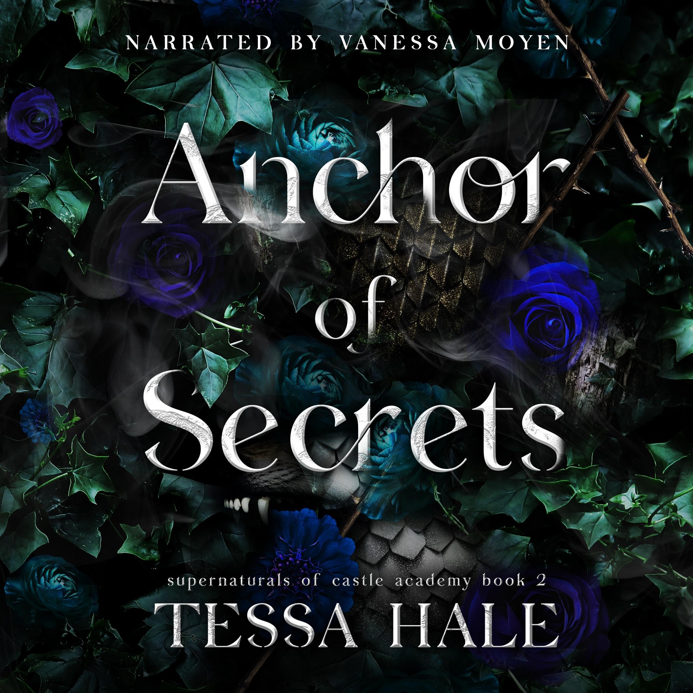 Cover art for Anchor of Secrets
