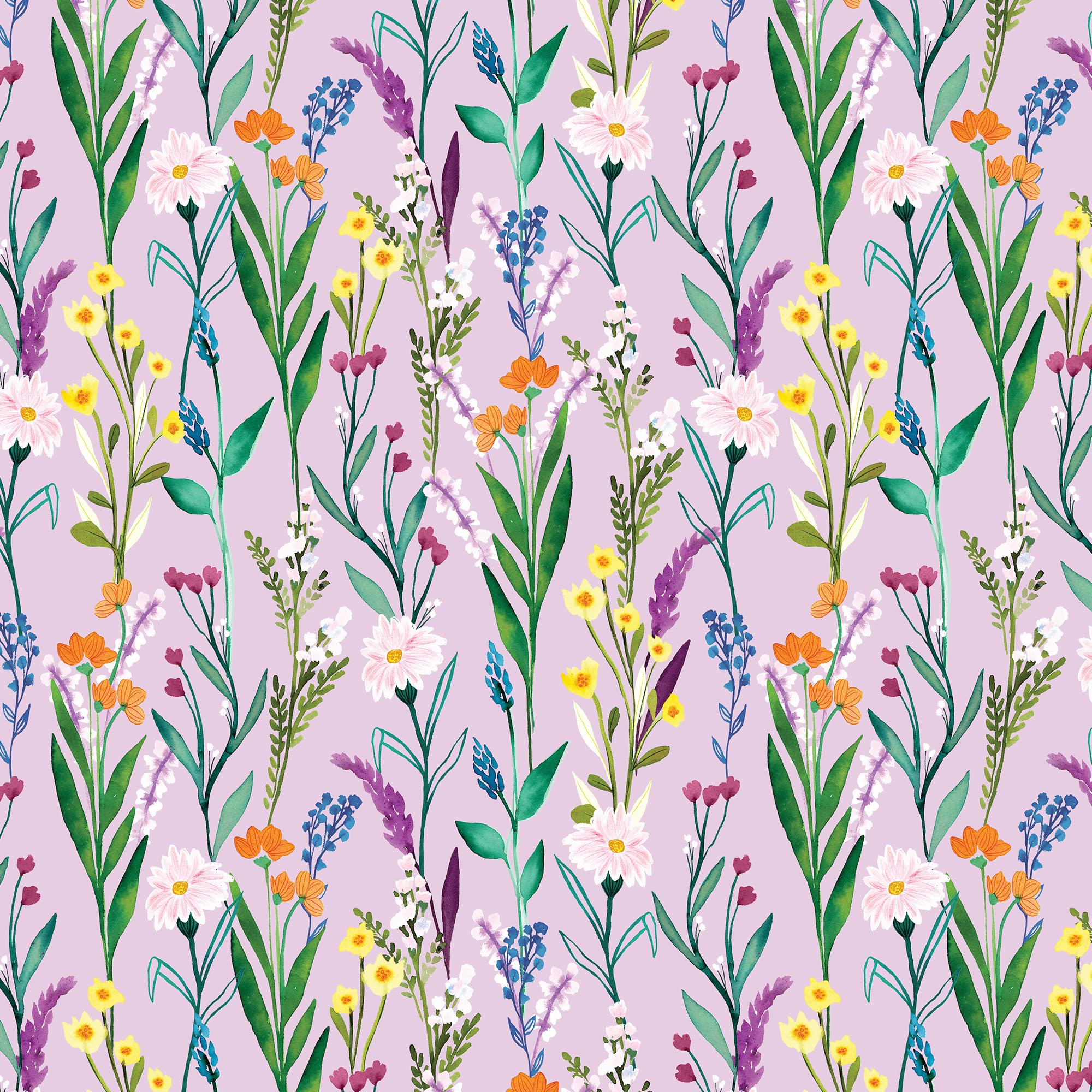 Jillson Roberts5 feet x 30 inches Gift Wrap, Secret Garden