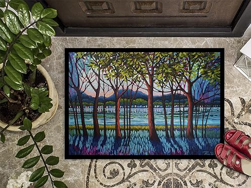 Miniatura 3 de Caroline's Treasures PPD3022JMAT - Tapete para puerta delantera de río tanzanita, 24 x 36 pulgadas, para interiores y exteriores, para entrada,