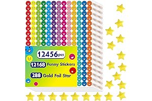 12456 Pieces Funny Sticker Variety Designs for Kids Decoration Reward Chart Sticker, 2000 Stickers