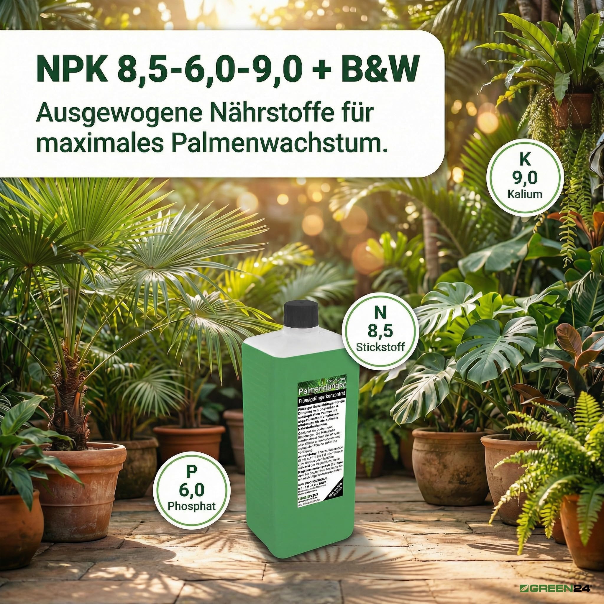 Engrais 1 l xL profi engrais pour palmiers ligne engrais nPK système d'engrais foliaire