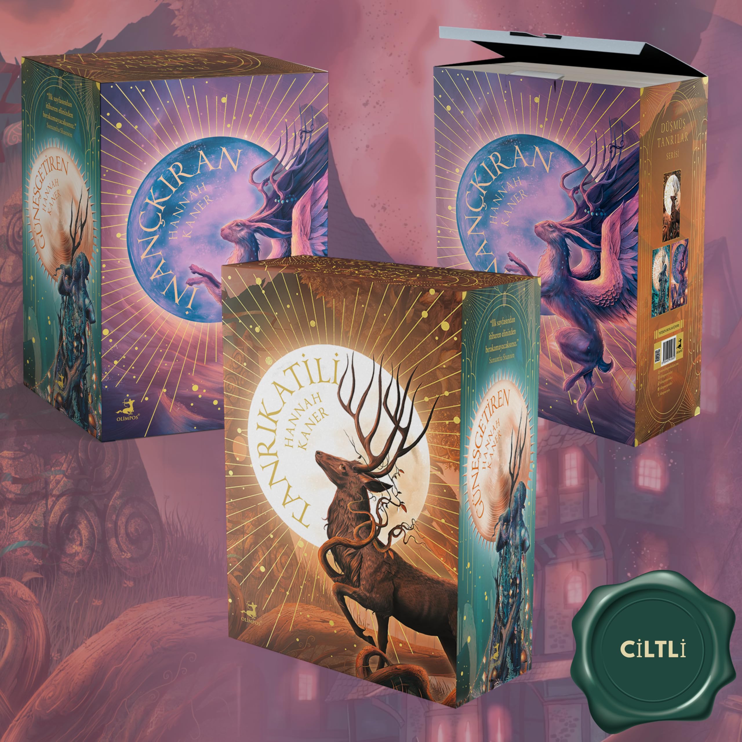 Düşmüş Tanrılar Serisi 3 Kitaplık Kutulu Set (Ciltli)