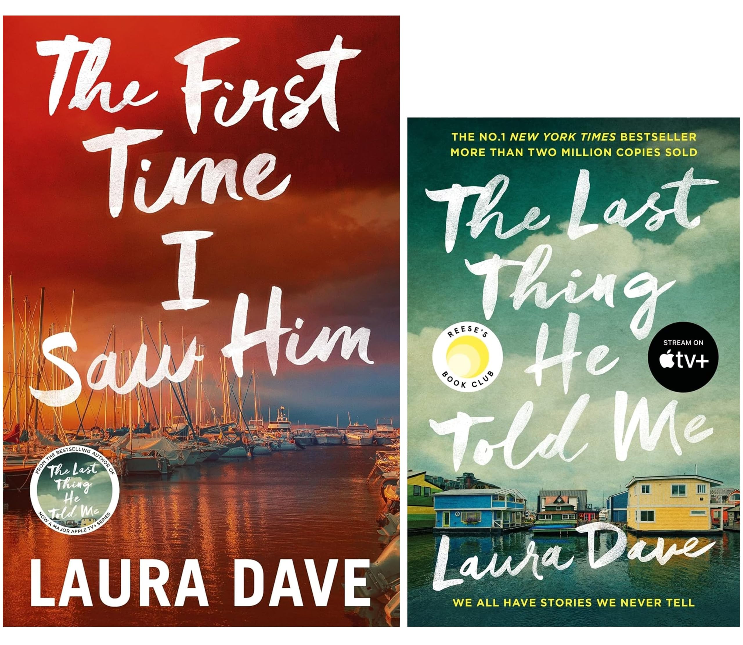 Hannah Hall Thriller Series by Laura Dave 2 Books Collection Set (The First Time I Saw Him [Hardback] & The Last Thing He Told Me)