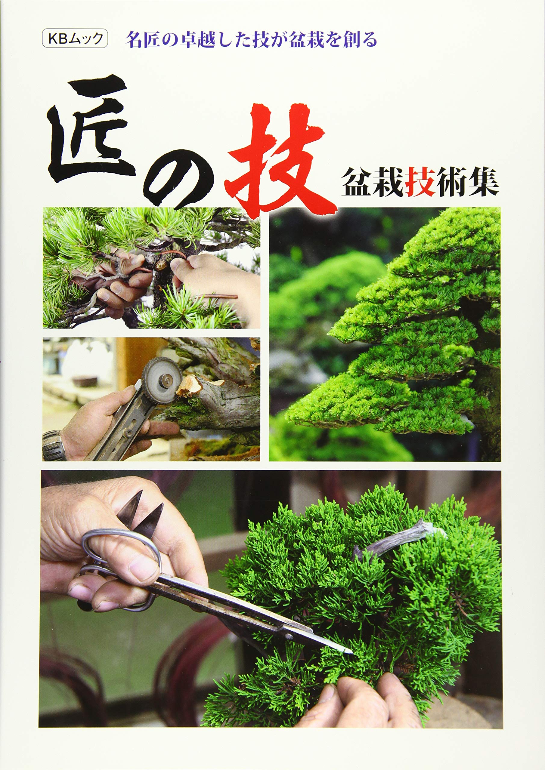 匠の技 盆栽技術集: KBムック |本 | 通販 | Amazon