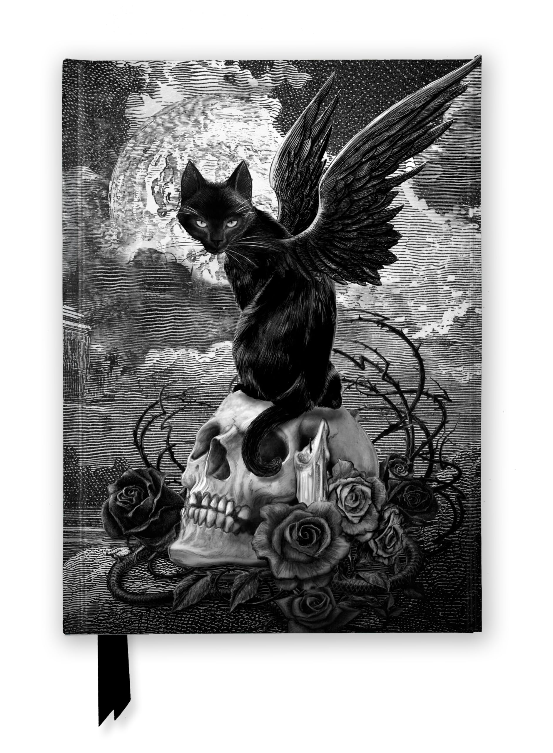 Alchemy: Nine Lives of Poe (Foiled Journal): Unser hochwertiges, liniertes Blankbook mit festem, künstlerisch geprägtem Einband und Magnetverschluss (Flame Tree Notebooks)