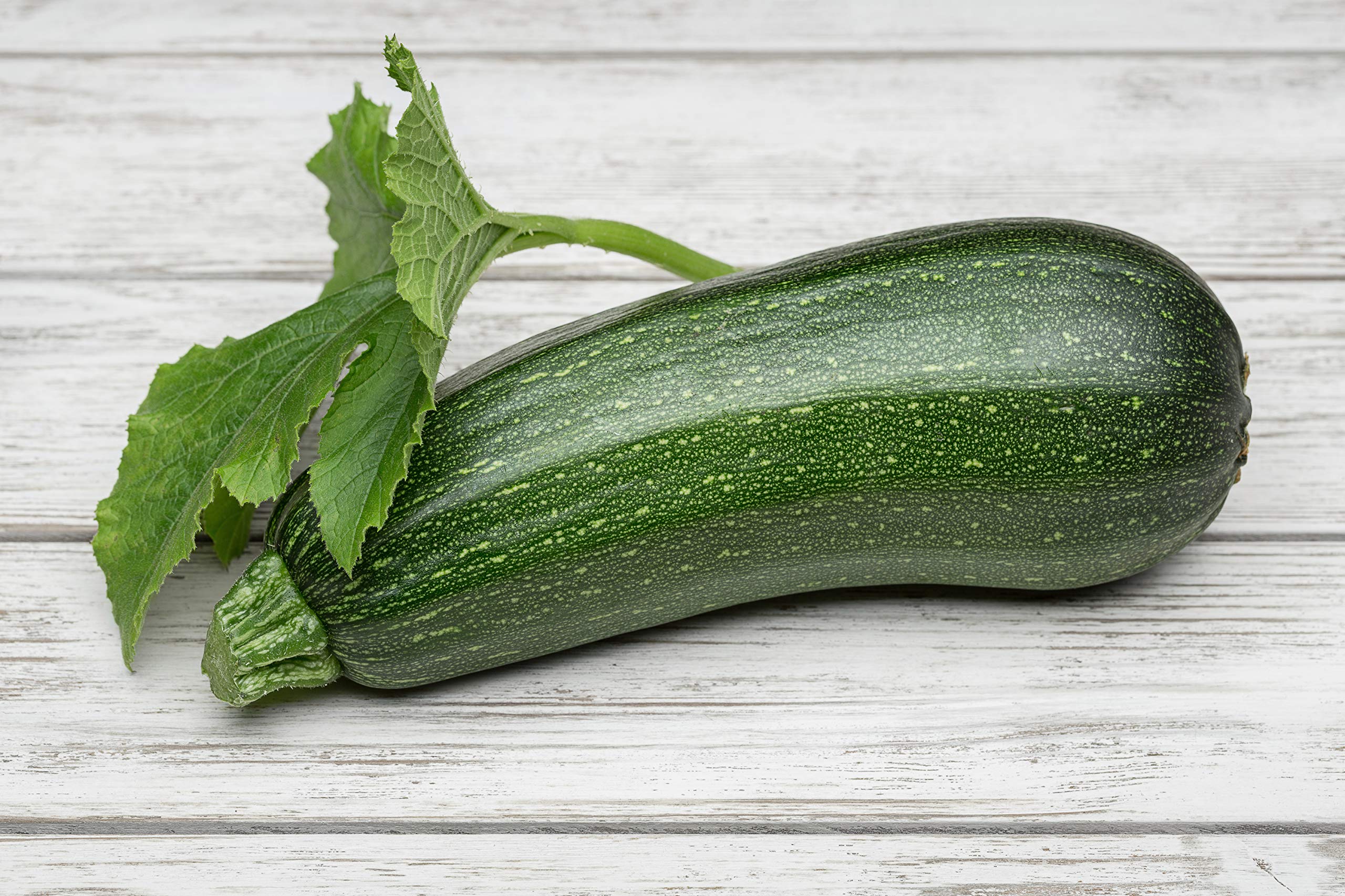 Summer Squash, Zucchini Cashflow Hybrid Seeds