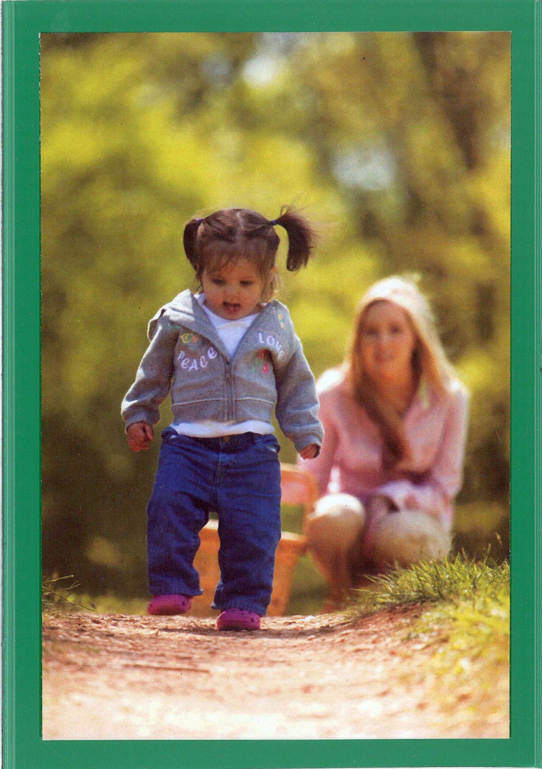 MagtechMagnetic Photo Pockets, Green, Holds 4 x 6 Inches Photos, 3 Pack (7463)