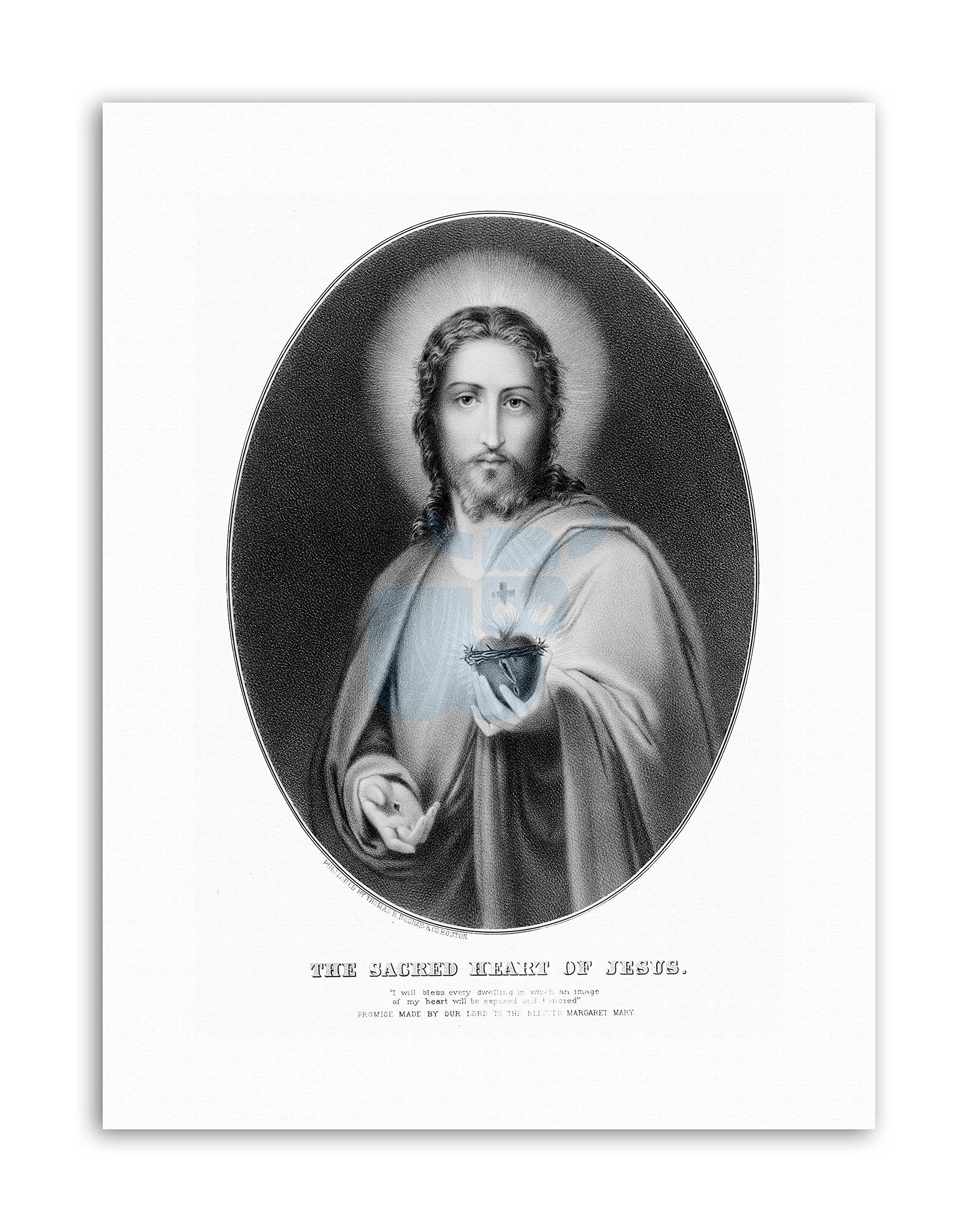 Wee Blue Coo Allegory Message Jesus Sacred Heart Painting Portrait Canvas Art Print