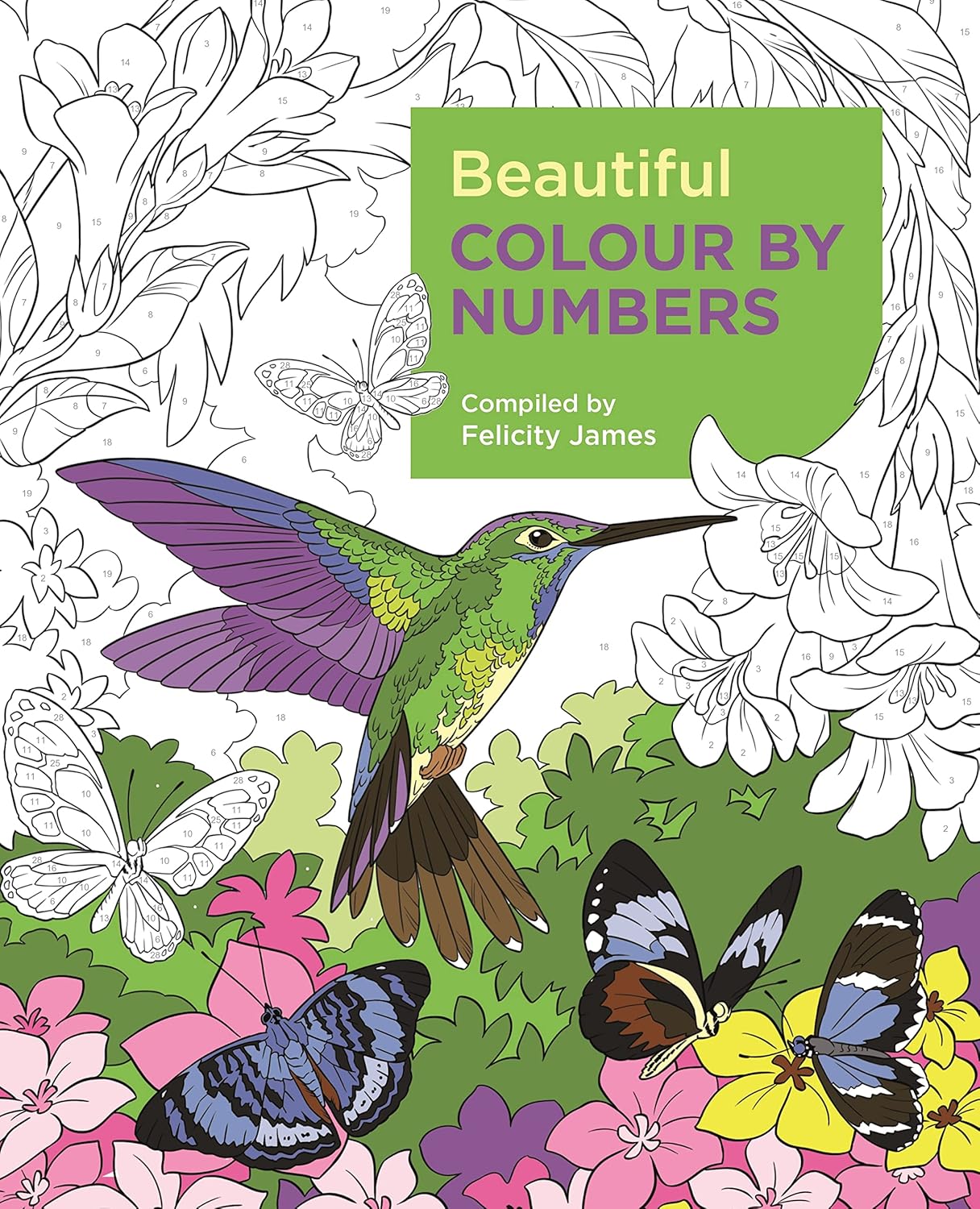Beautiful Colour by Numbers (Arcturus Colour by Numbers Collection, 12 ...
