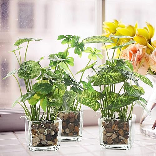 Miniatura 2 de MyGift Juego de 3 plantas artificiales, vegetación de mesa sintética con macetas de vidrio transparente y macetas MyGift de 4 pulgadas de color azul
