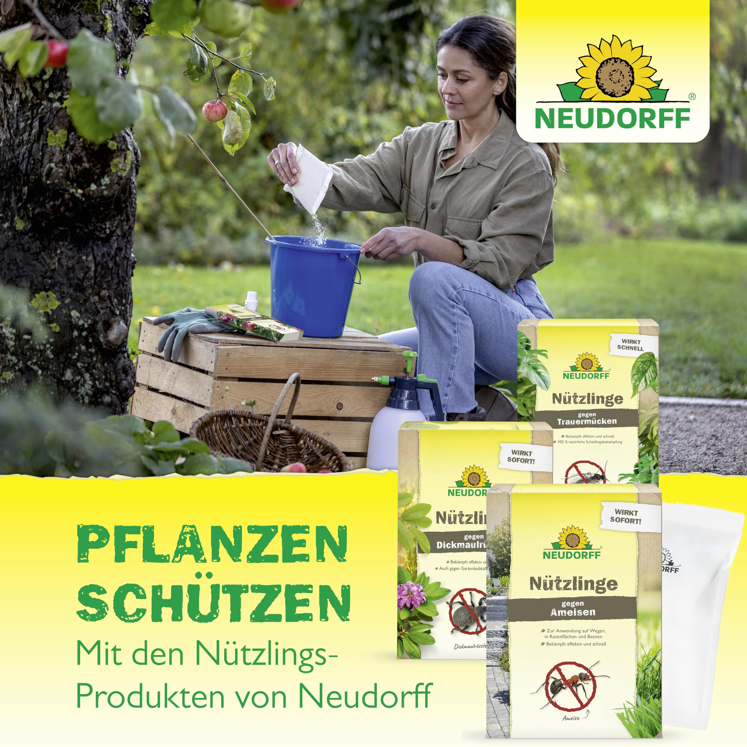 Neudorff Nützlinge gegen Apfelwickler – 5 Mio. SF-Nematoden zur natürlichen und schnellen Bekämpfung von Apfelwickler-Larven. Für 5 Apfelbäume