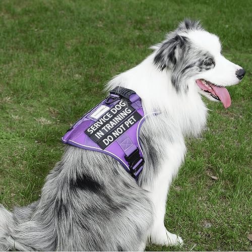 Miniatura 5 de PawistaPal Paquete de 6 parches para perros de servicio, parche de entrenamiento para perros y no mascotas con gancho trasero, parche de velcro