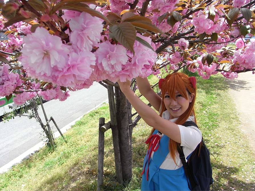 ロケみつ 桜・稲垣早希のブログ旅　関西/四国/西日本/番外編　全29巻 全巻 ロケみつ 桜・稲垣早希のブログ旅 関西/四国/西日本/番外編 全29巻