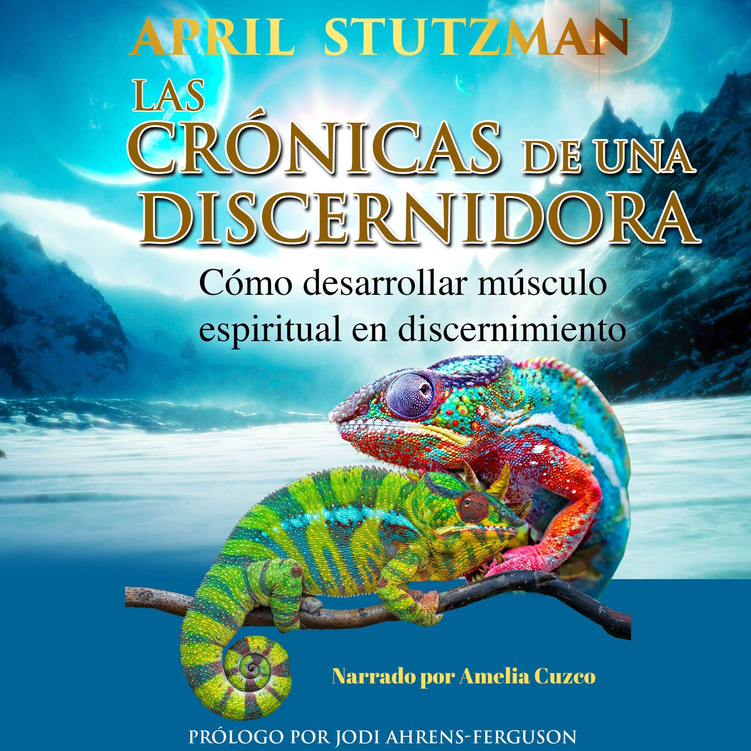 Las crónicas de una discernidora [The Chronicles of a Discerner]