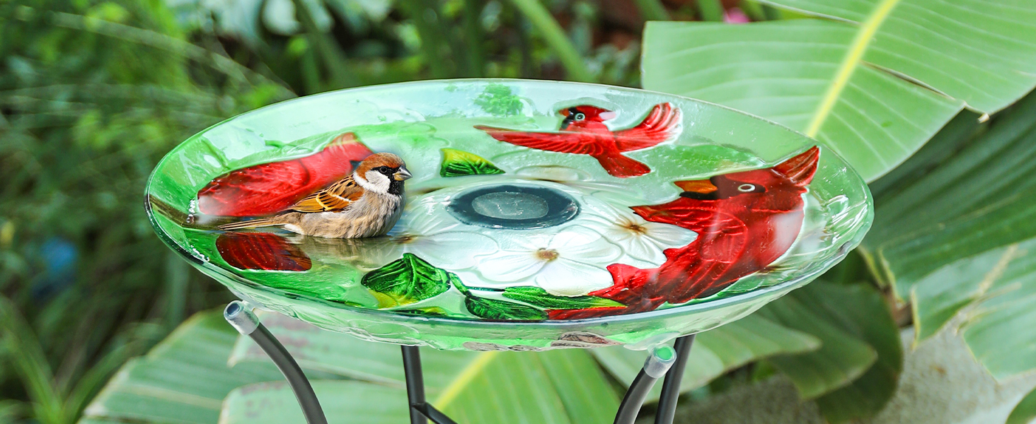 Amazon.com: MUMTOP Glass Bird Bath Solar Birdbath with Metal Stand