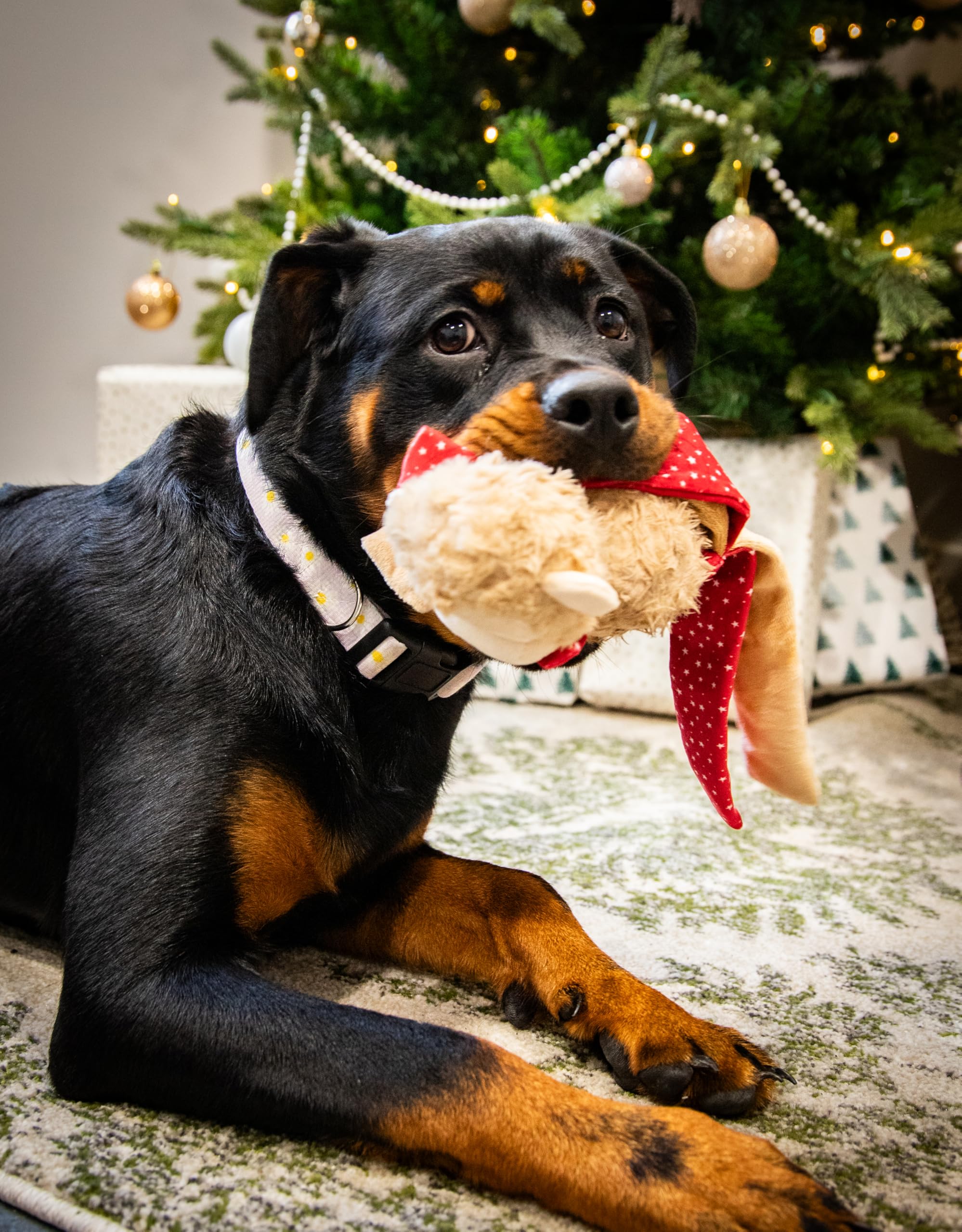 Rosewood Max Monkey Christmas Dog Toy, Festive Plush Squeaky Monkey with Tassels for Shaking, Soft - Image 3