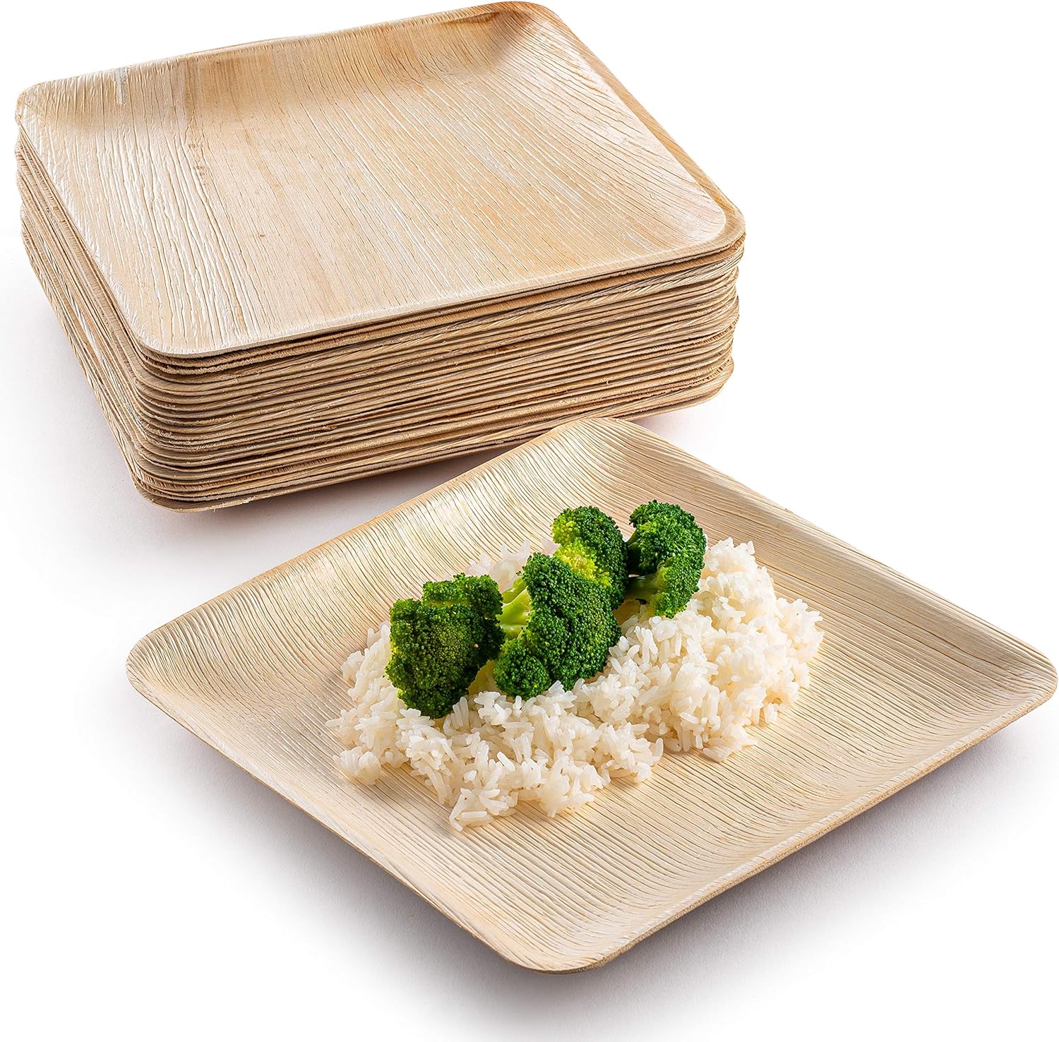 10 inch Party Plates Palm Leaf Plates Biodegradable Plates 25 Plates BambooLook