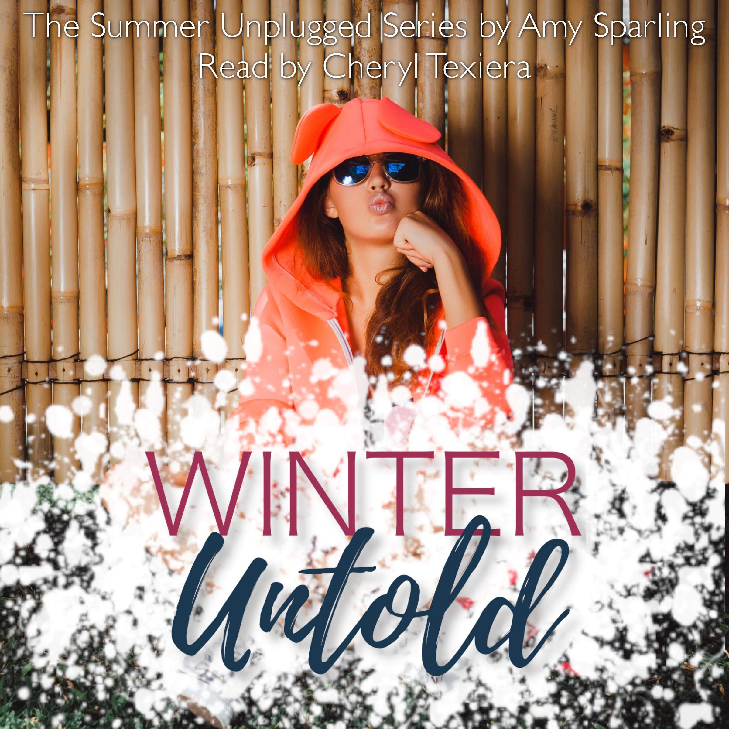 Cover art for Winter Untold