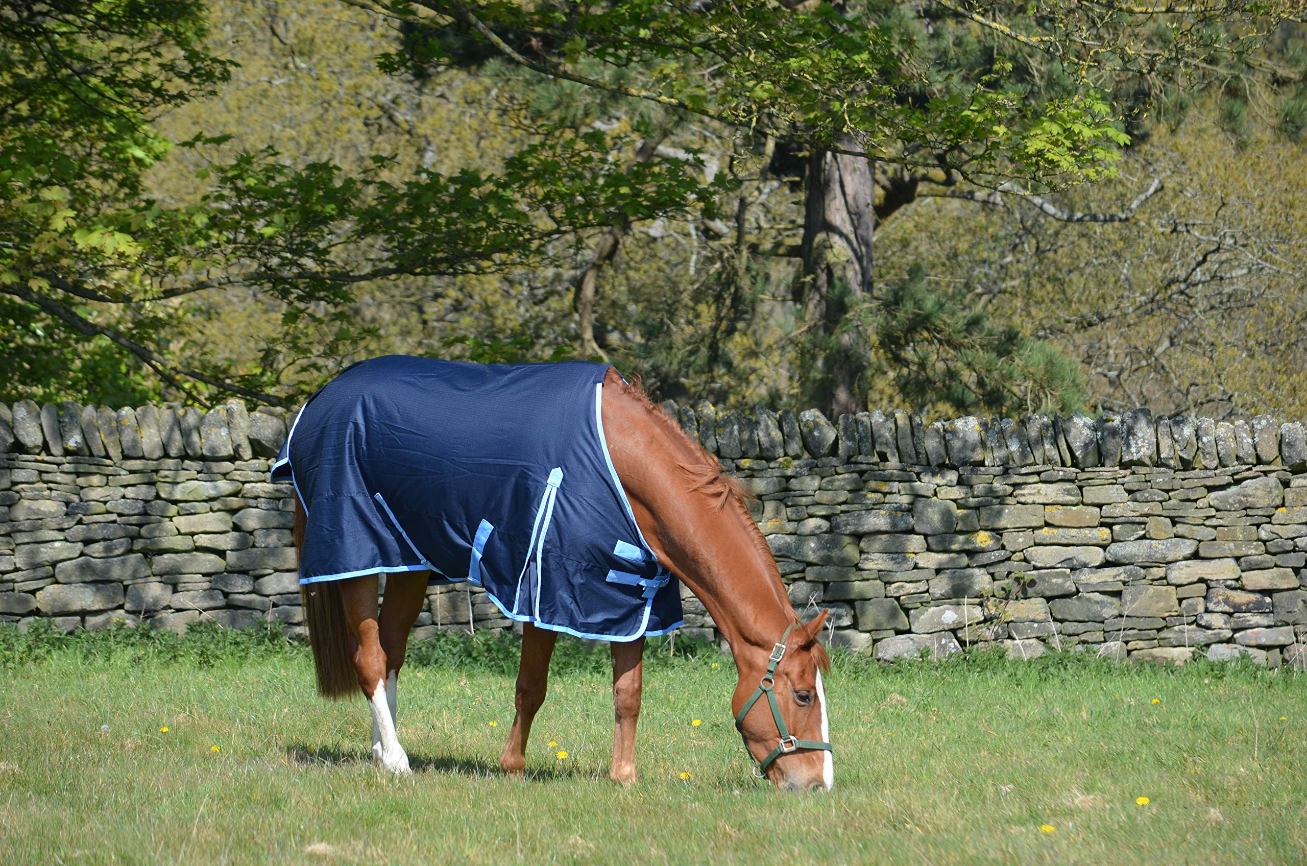 Tapis De Stable Valiance Avec Couverture Cou Combo 100g Imperméable 600D - Marron