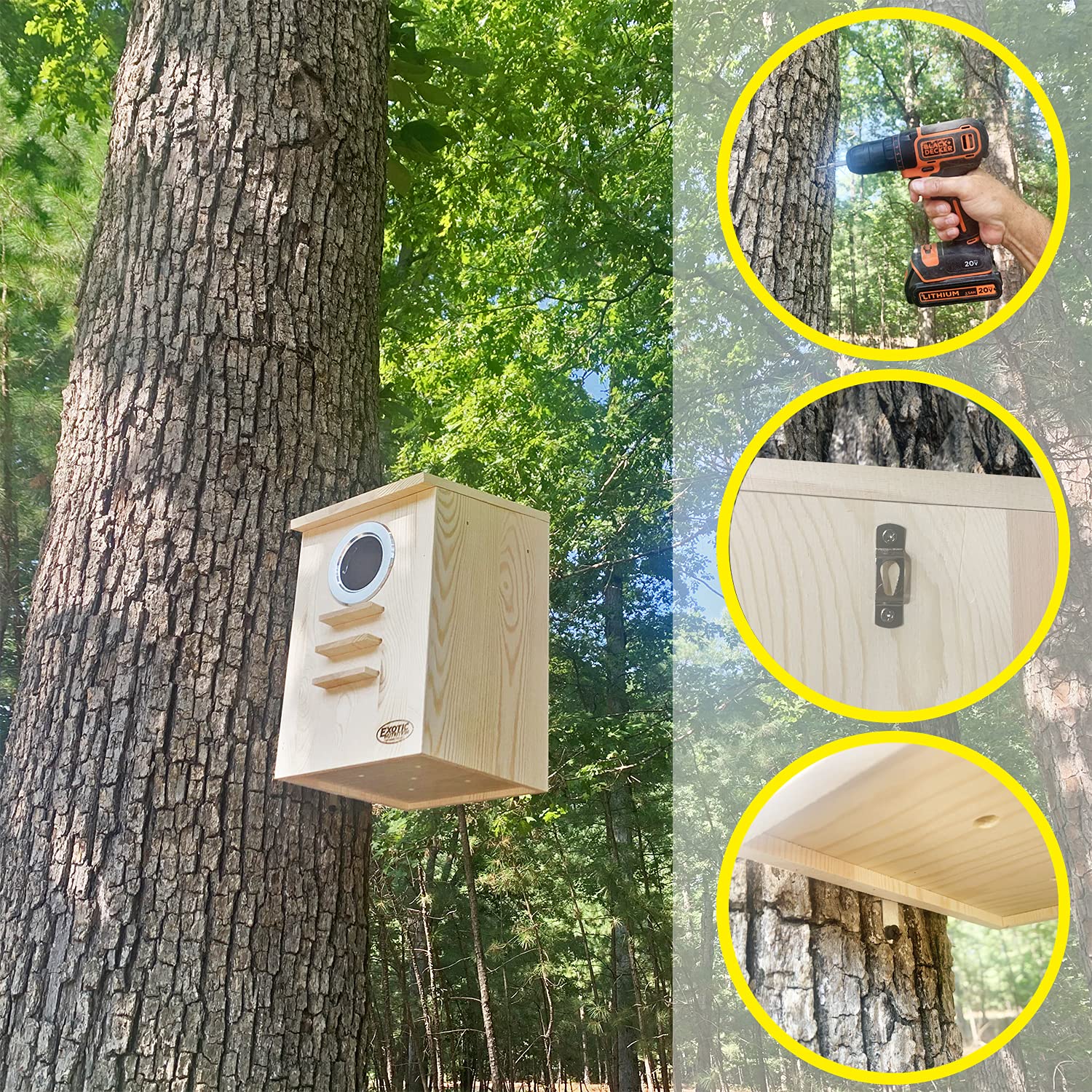 Nichoir pour écureuil – Fixation de cage, couvercle à charnière, perchoir – pour écureuil gris, écureuil volant, planeur à sucre, rat, pinson, perruche, inséparable, canari, calopsitte, autres oiseaux