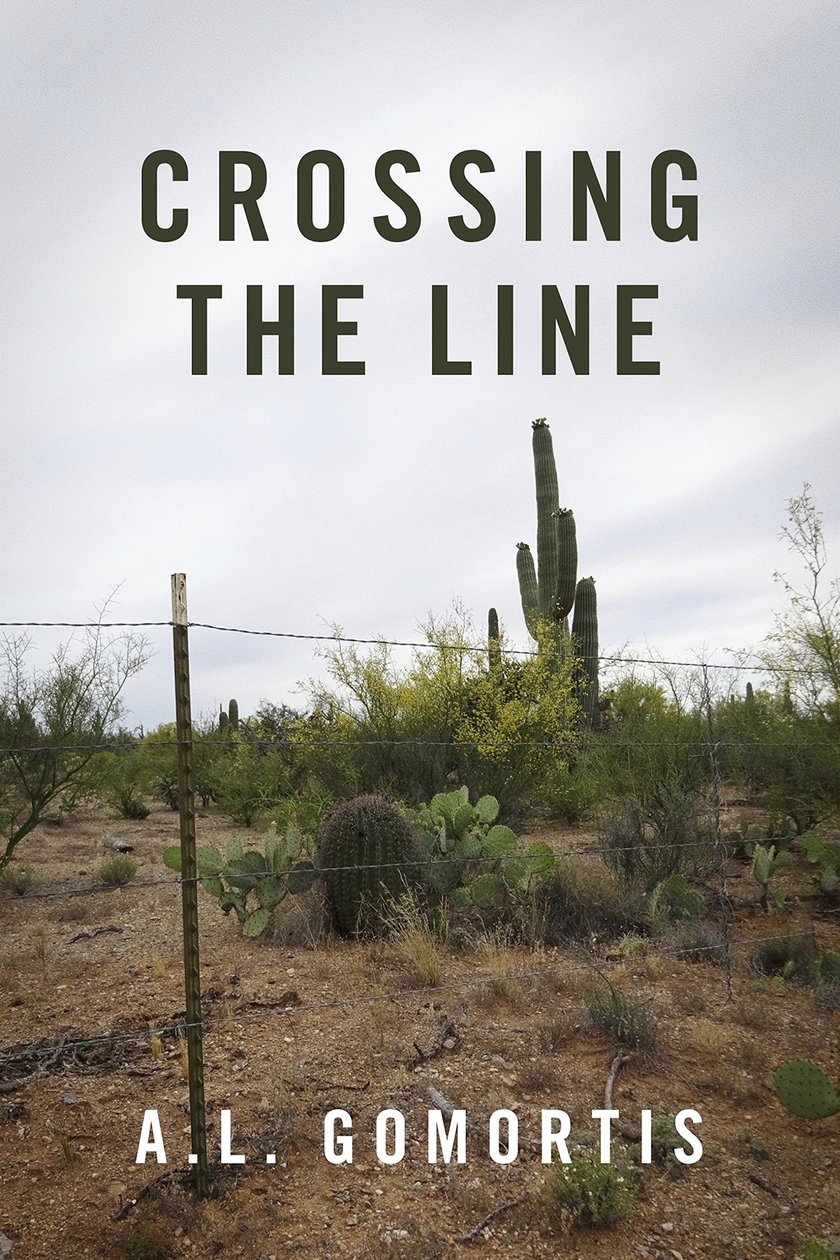 Crossing the Line (Crossings Book 1)