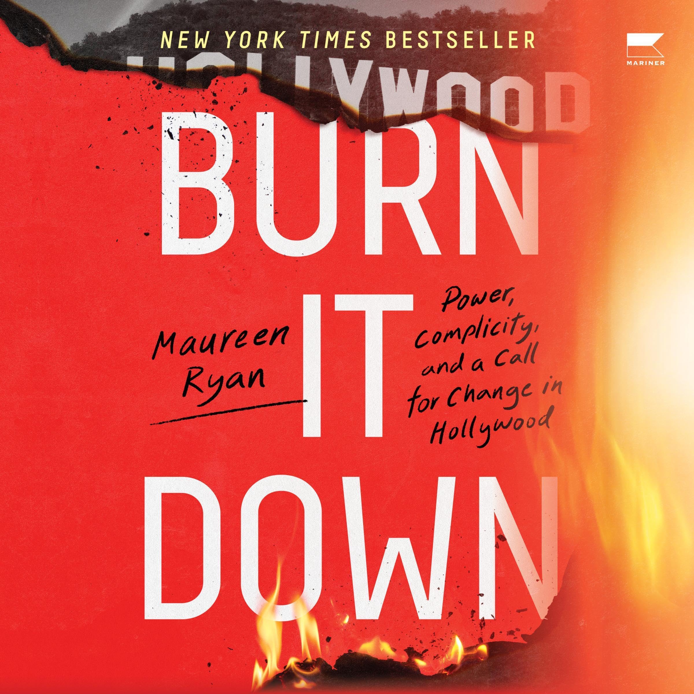 Cover art for Burn It Down