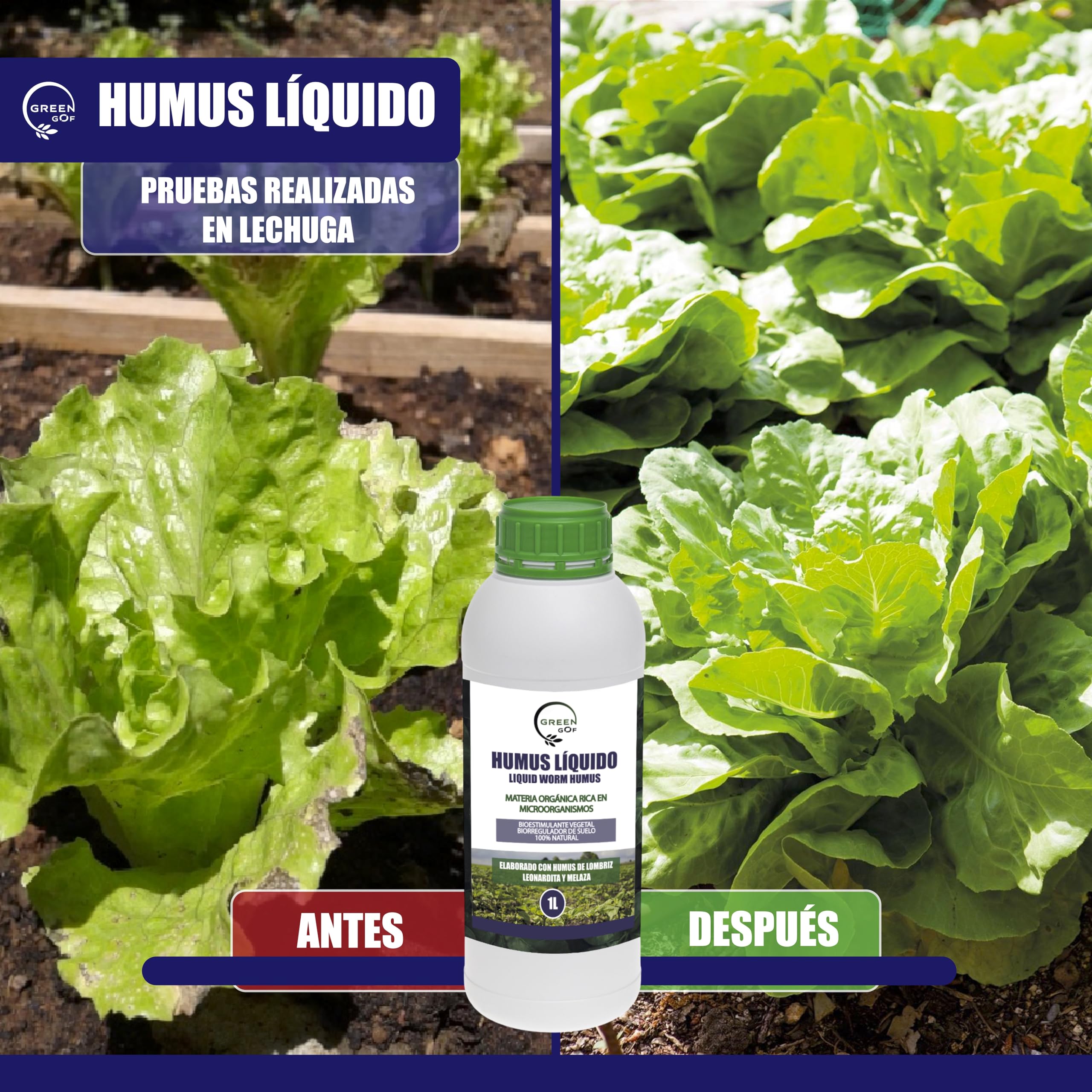 GREENGOF Humus Líquido de Lombriz Premium 1L. Enriquecido con Leonardita y Melaza. Fertilizante Rico en Microorganismos. Acelera el crecimiento de las Plantas. Aumenta el tamaño y cantidad de Frutos.