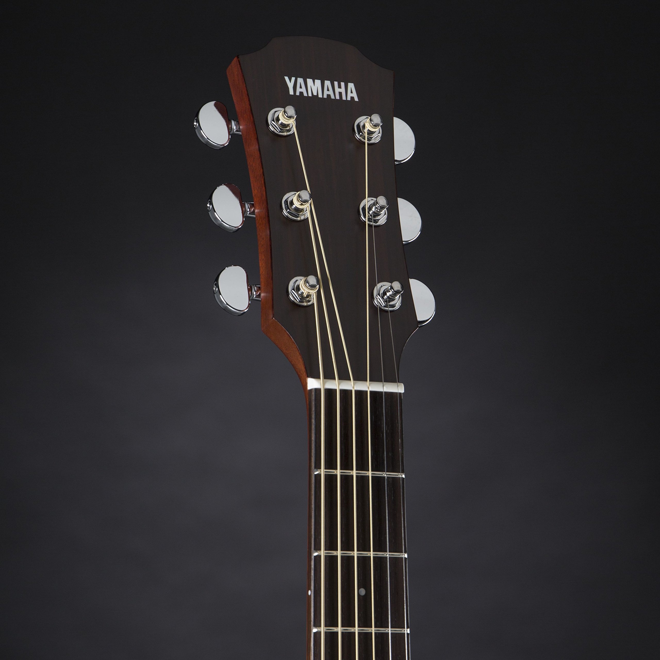 Amazon | ヤマハ YAMAHA エレアコギター A1M VN | エレアコ