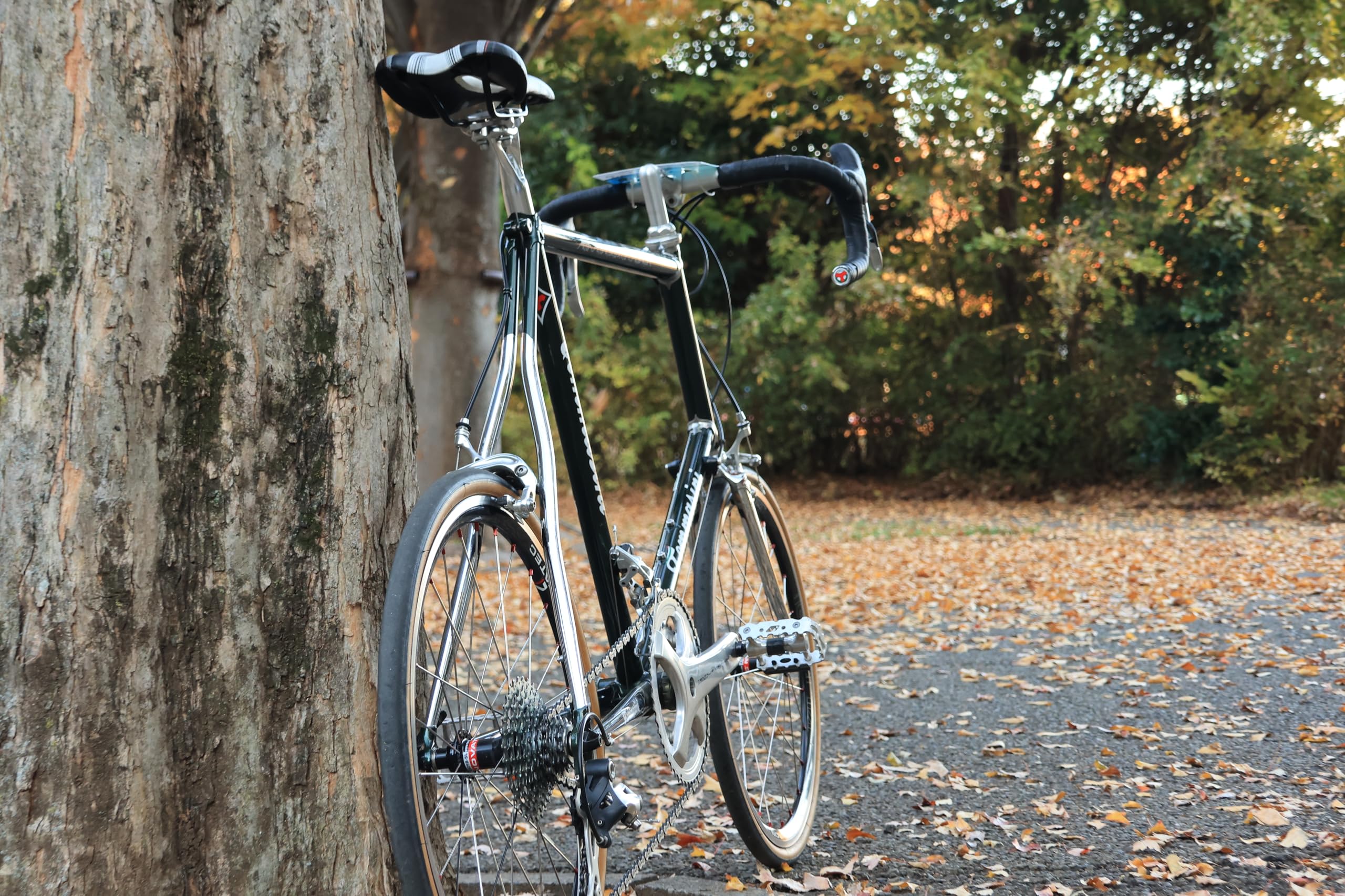 Amazon | IRC TIRE (アイ・アール・シー) 自転車 タイヤ JETTY PLUS
